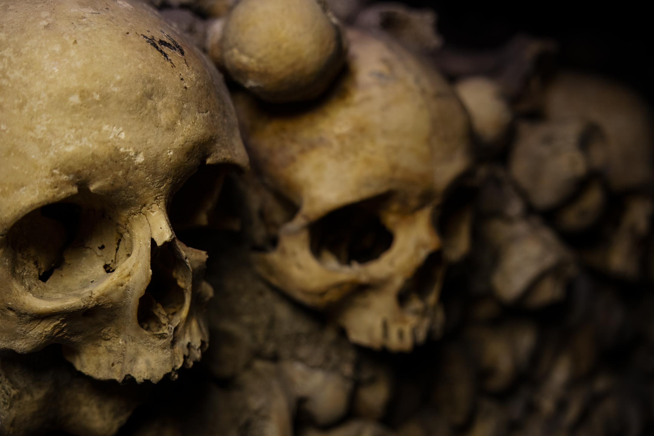 Catacombes de Paris