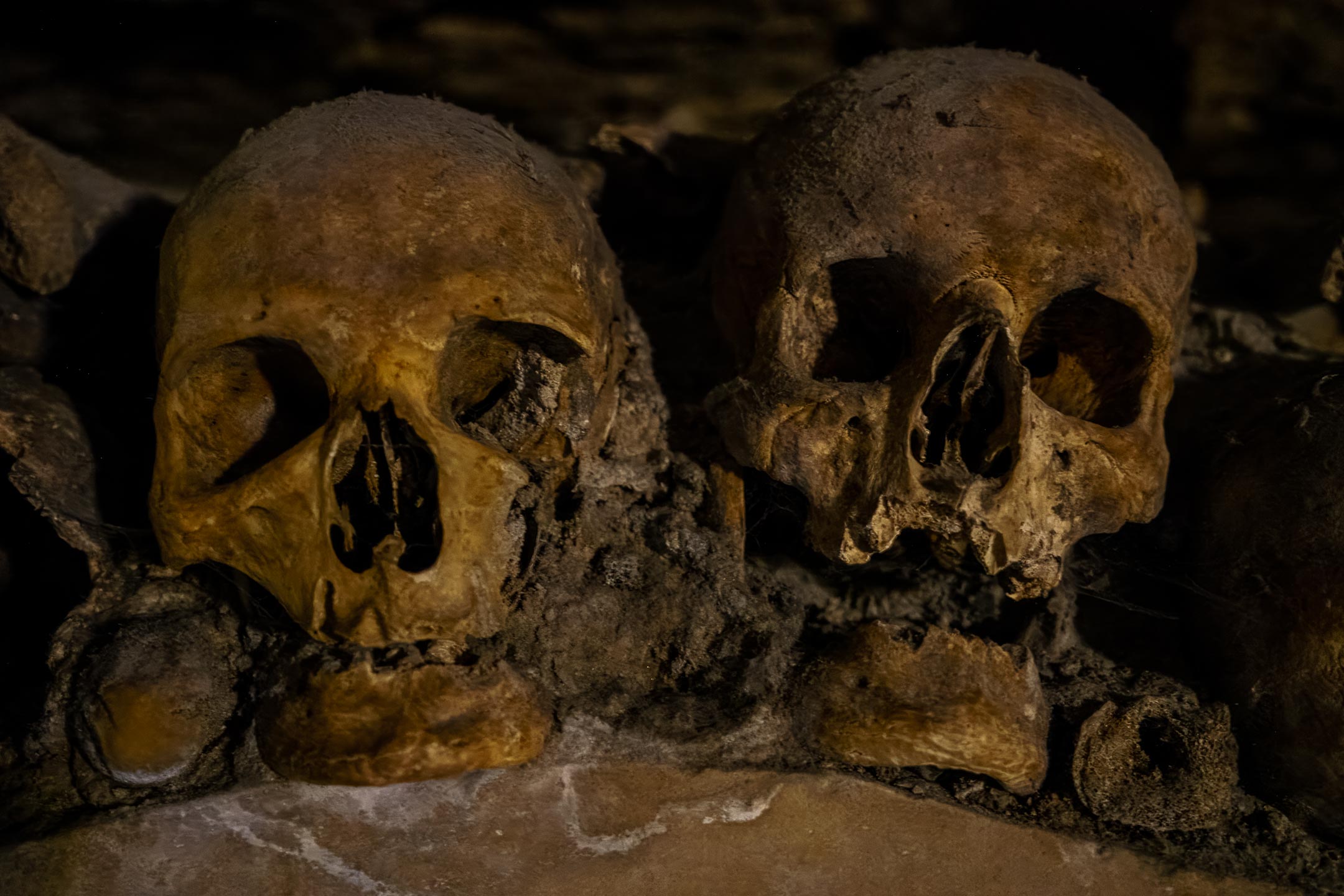 Catacombes de Paris