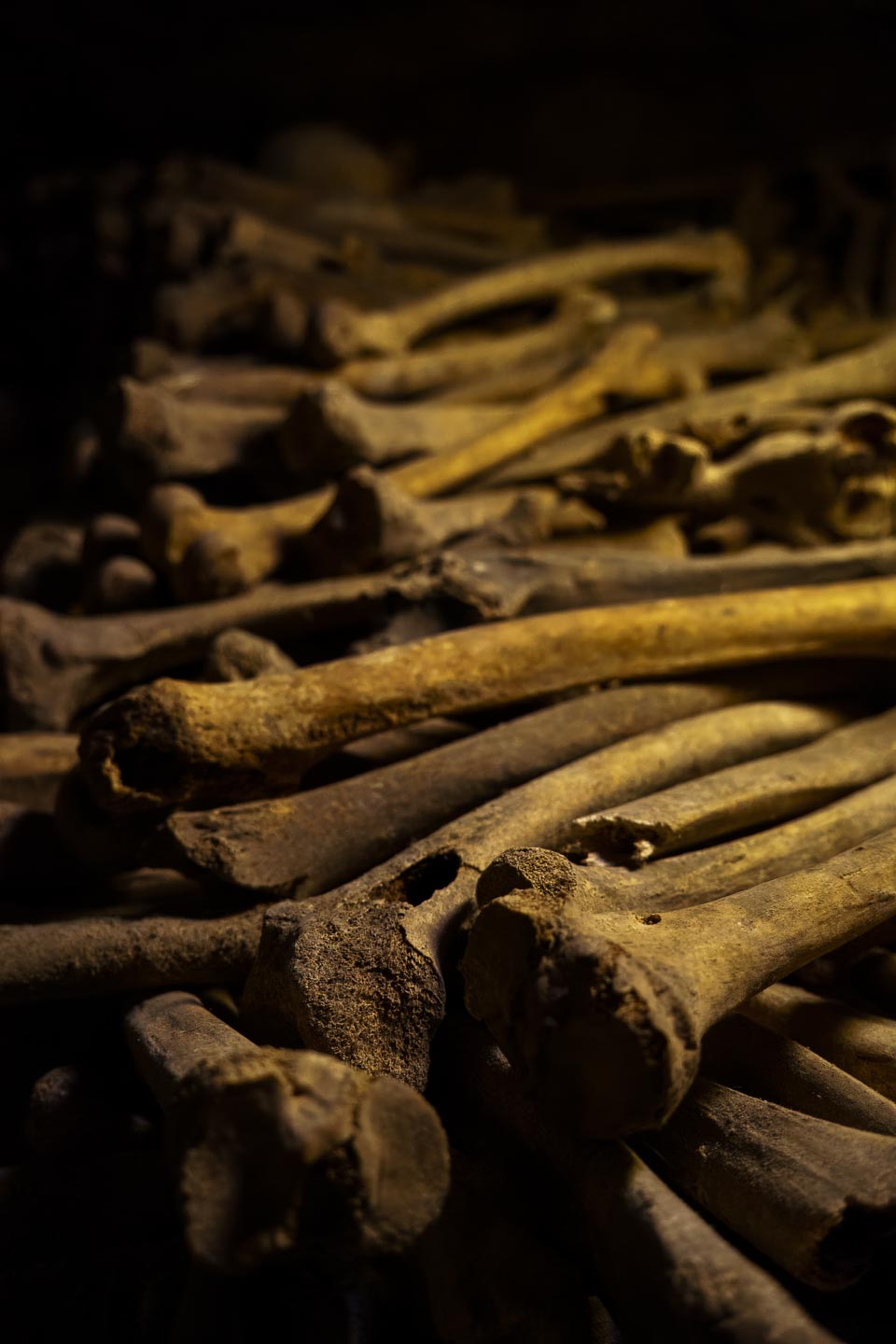 Catacombes de Paris