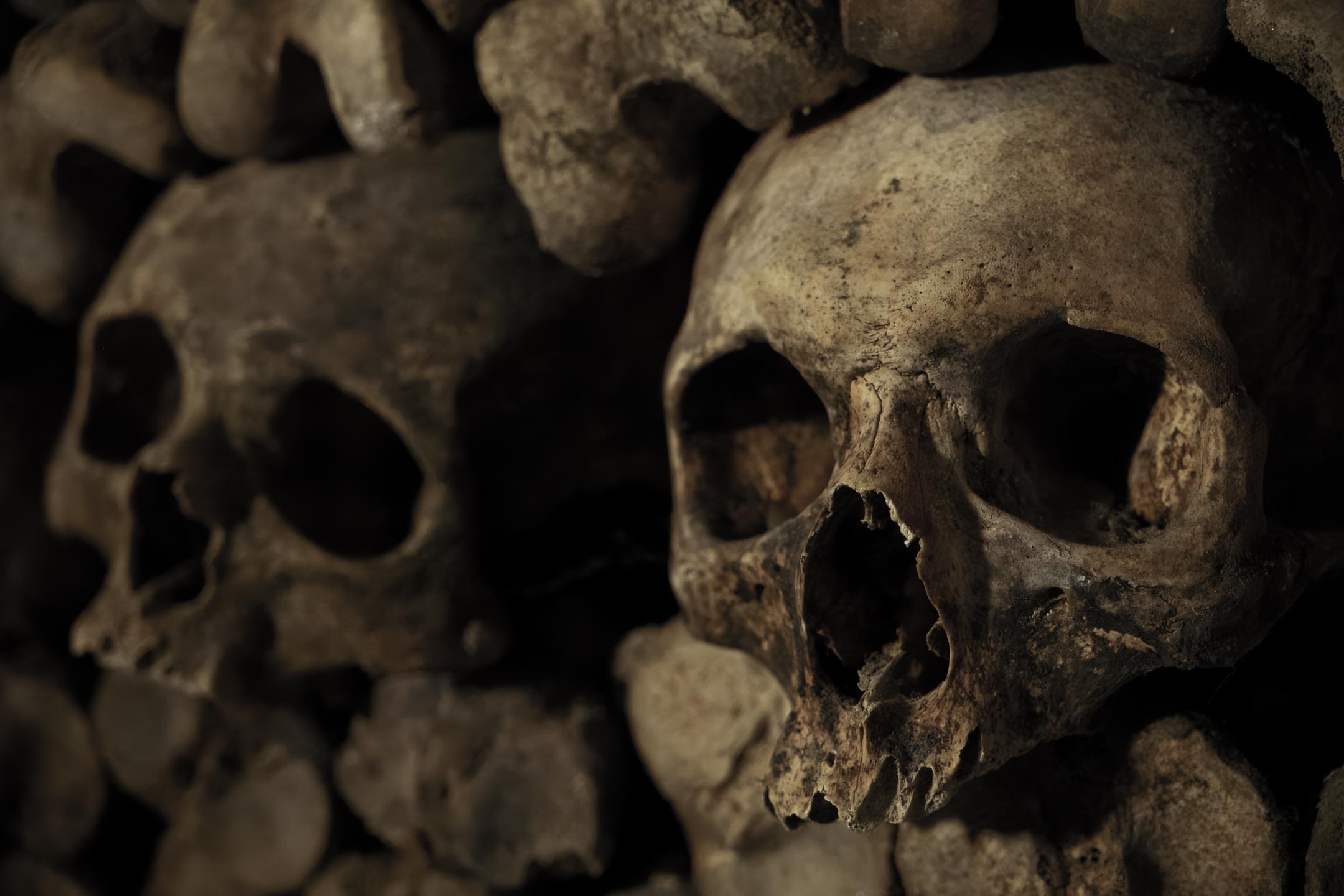 Catacombes de Paris