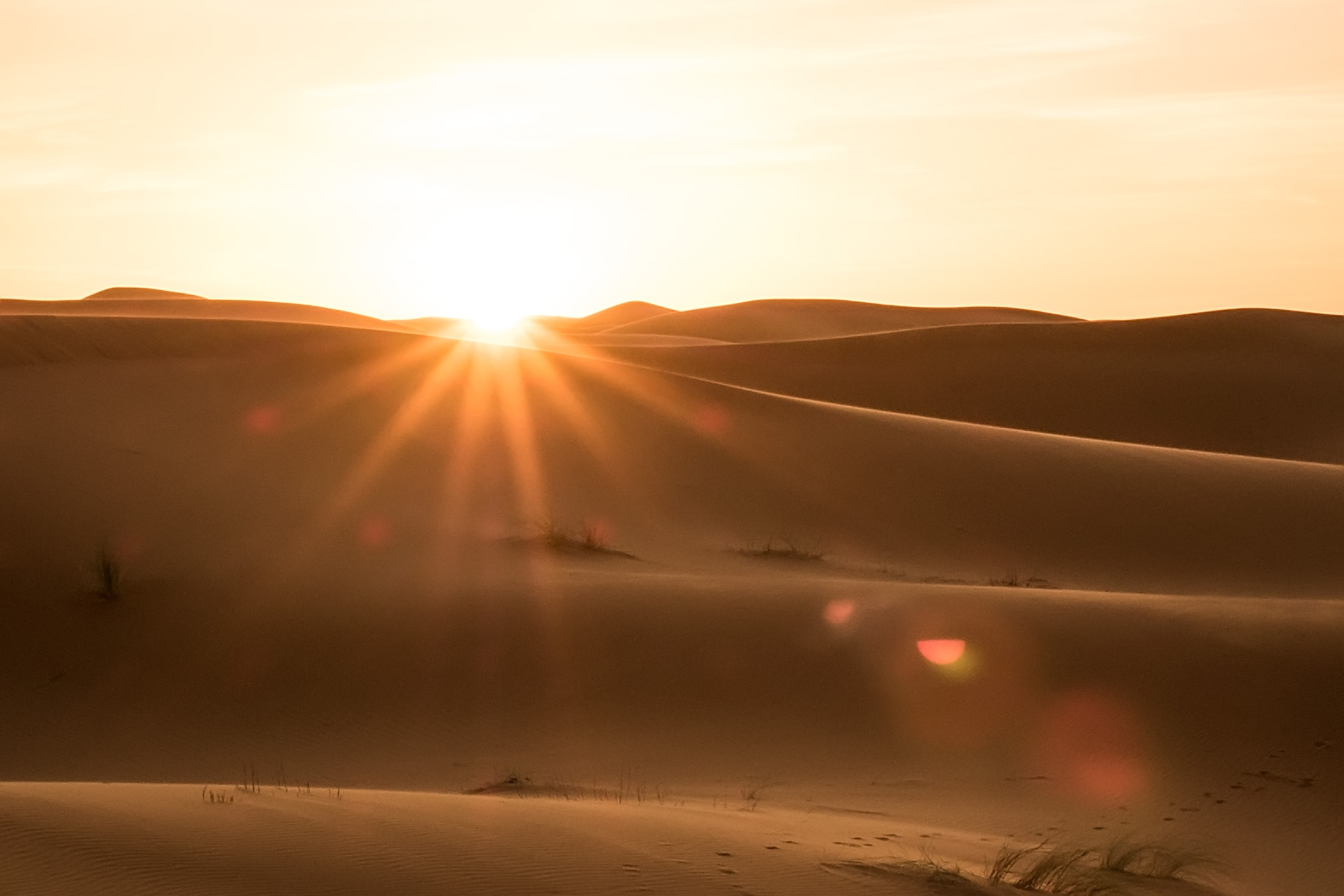 20151101171154 d3ef10bb