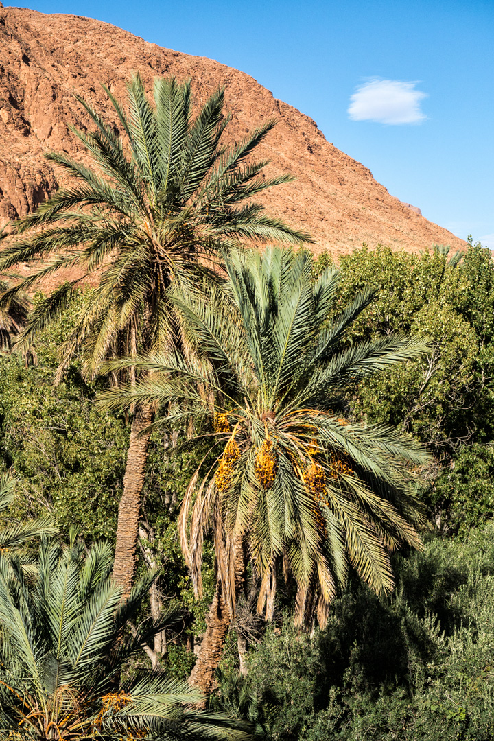 20151101174751 9f242119