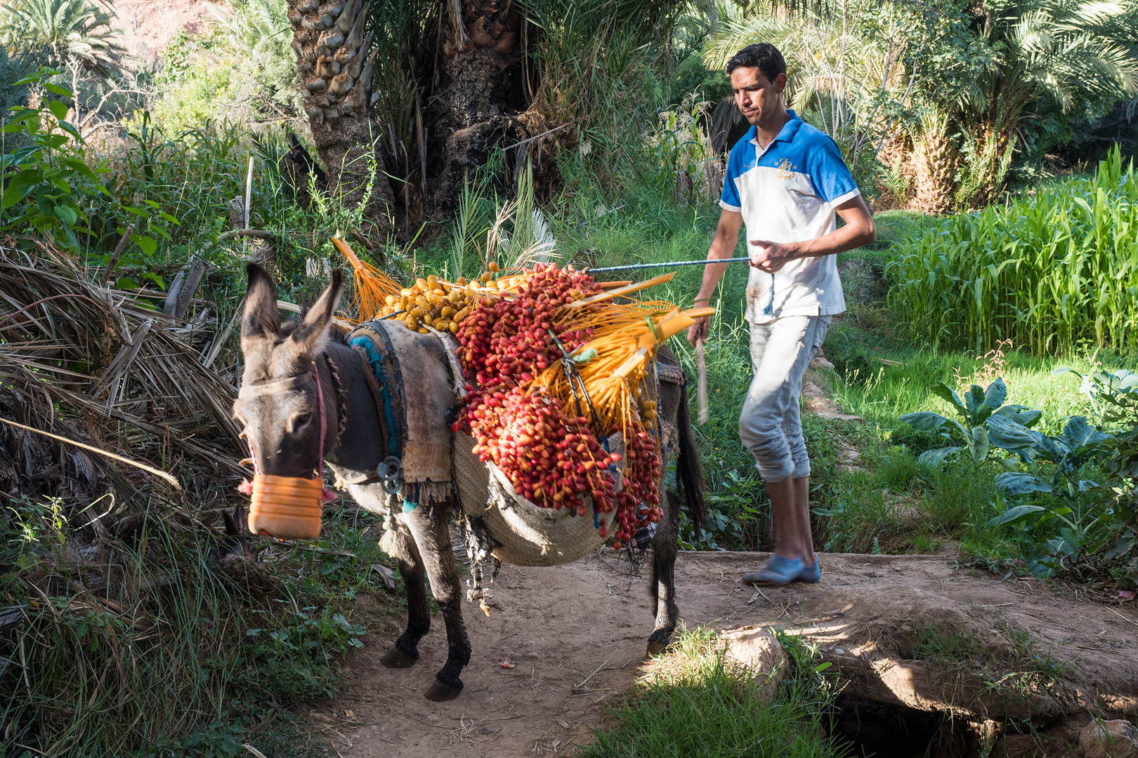 20151101180140 edcad3fc