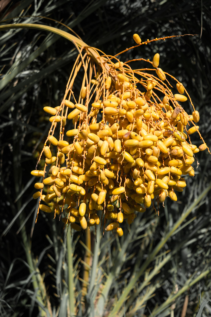 20151101180144 676ea97a