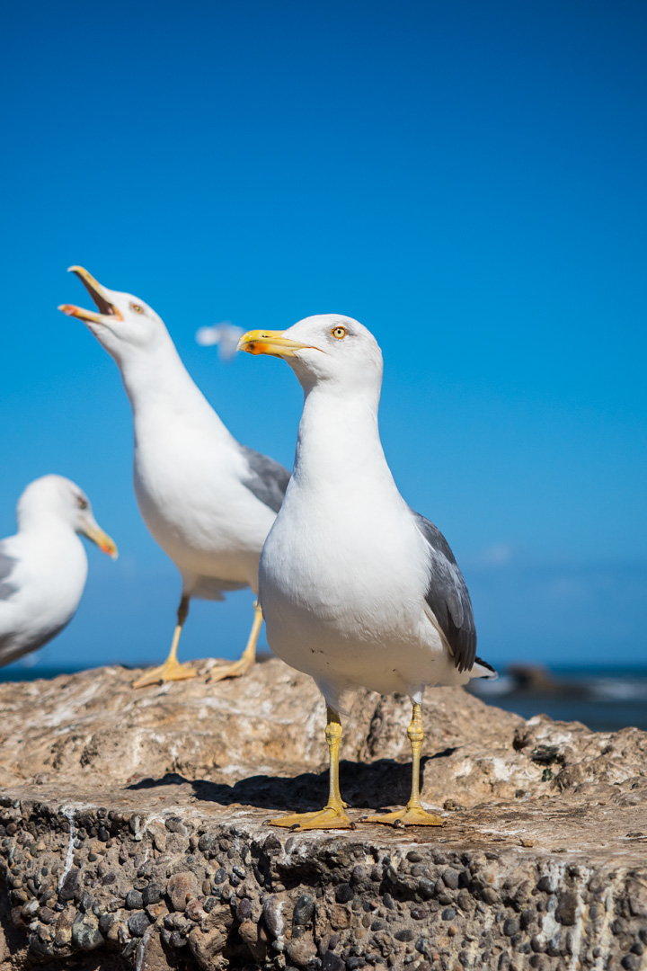 20151101185455 b0680c6a