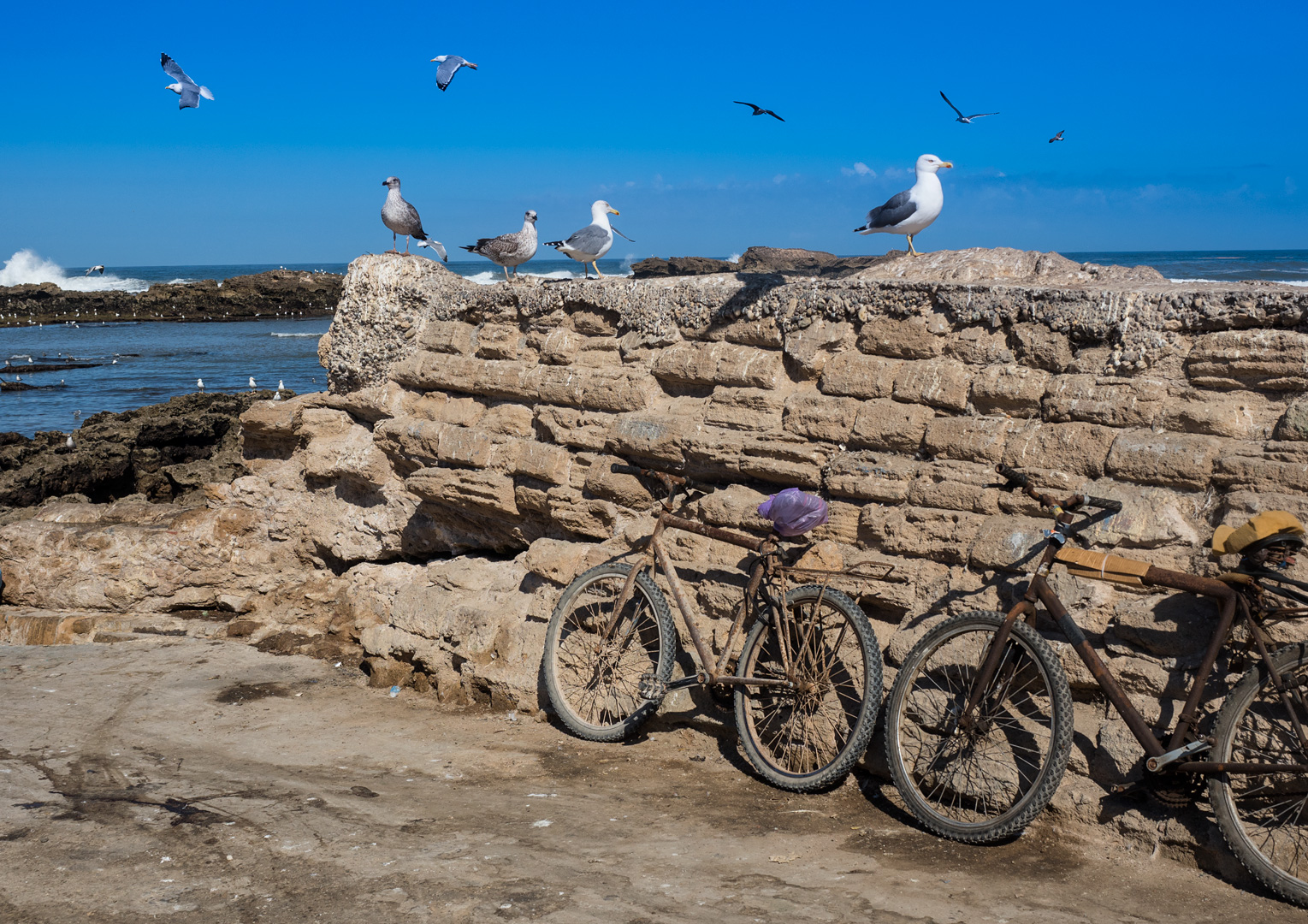 20151101185503 93b56d5e