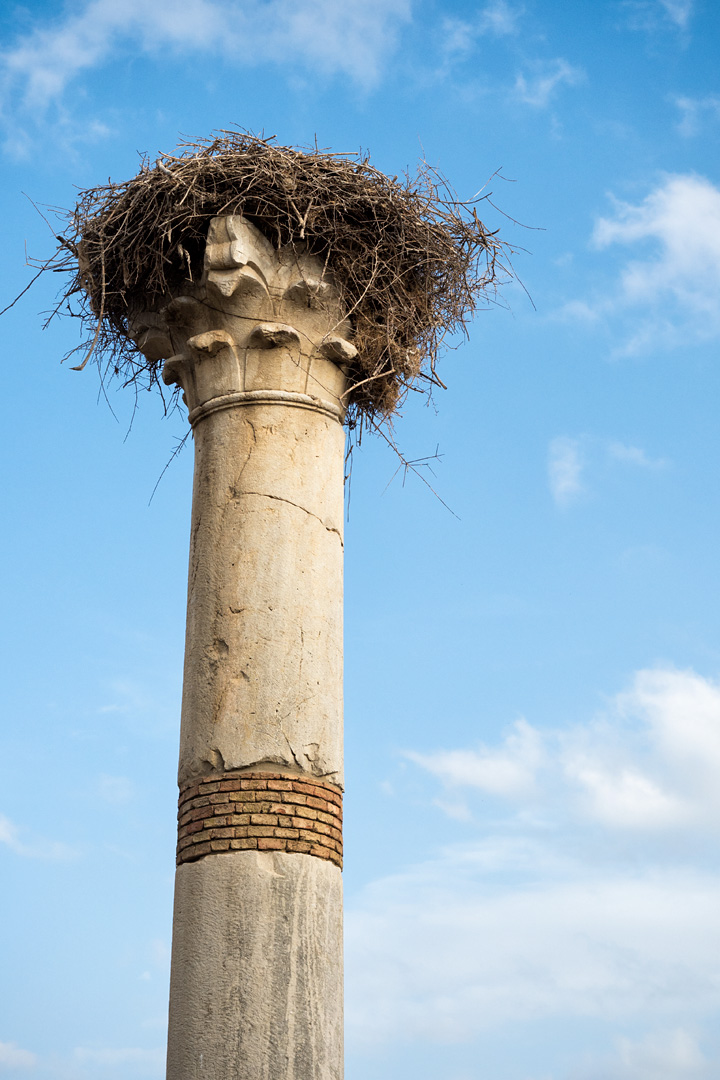 20151101213613 8b17e213