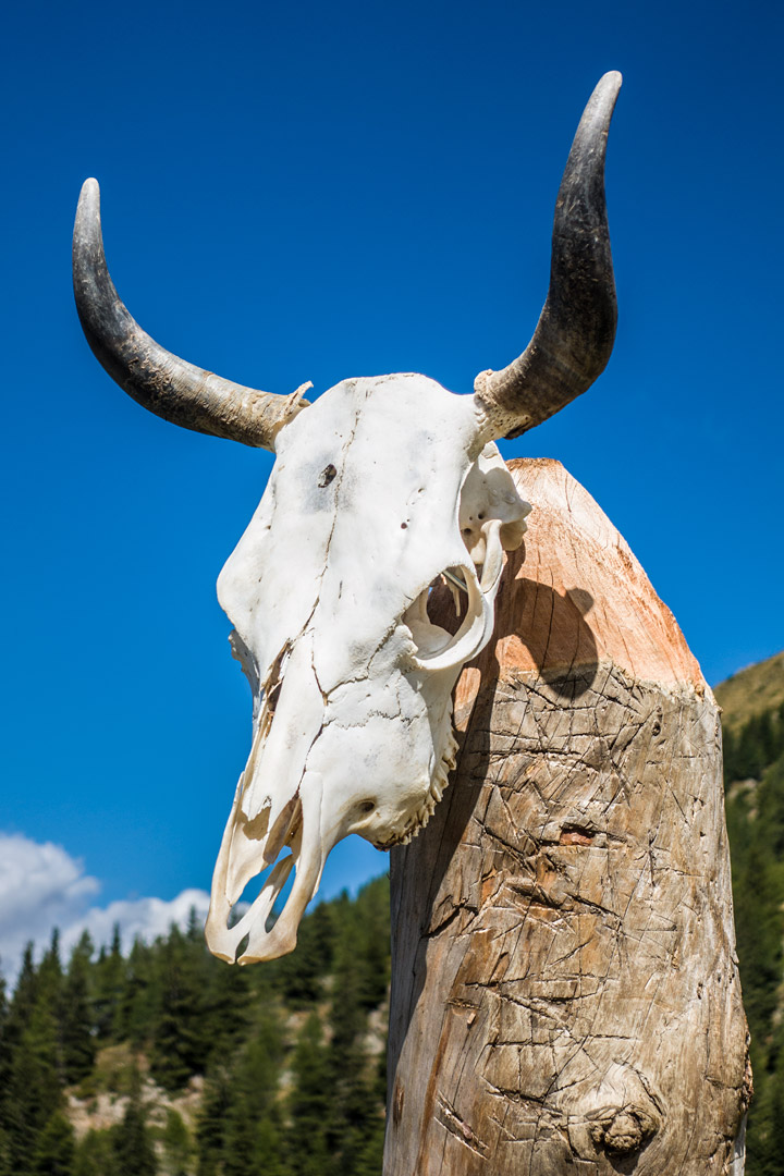 Wanderung zur Mahdalm (Saltaus) - Hintereggalm