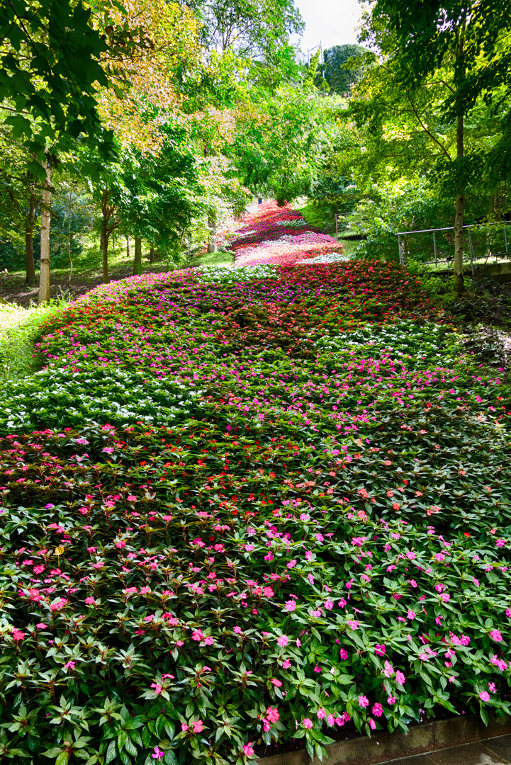 Meran - Gärten von Schloss Trauttmansdorff