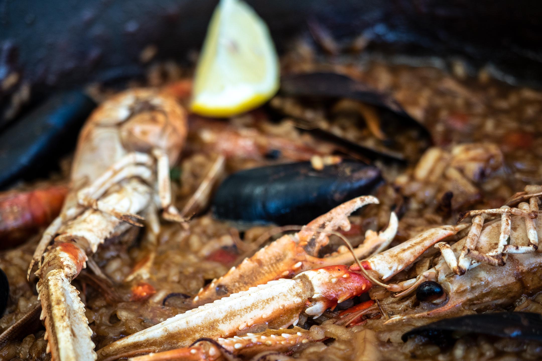 Roses - Restaurant Falconera