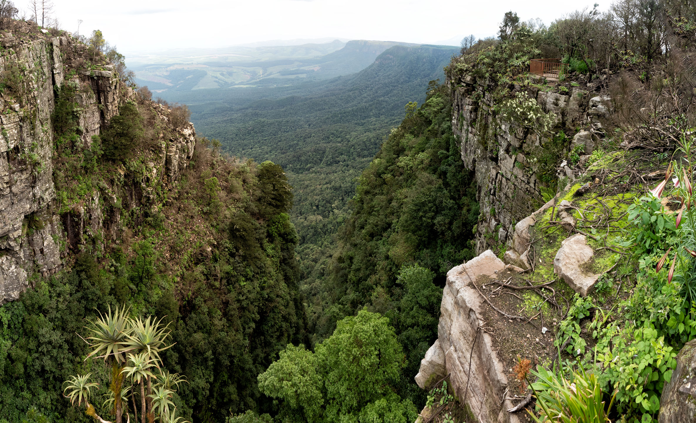 God's Window Mpumalanga