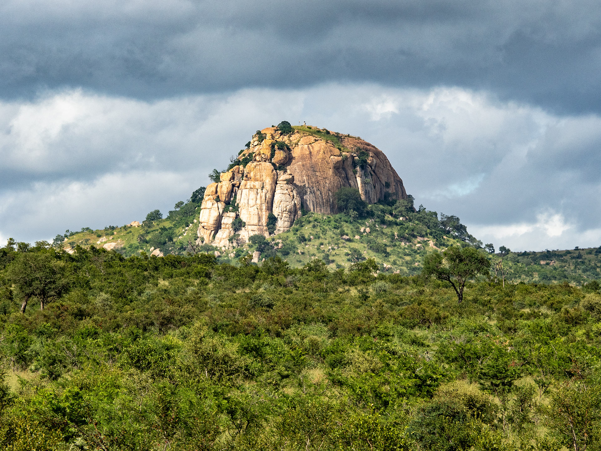 Krüger National Park