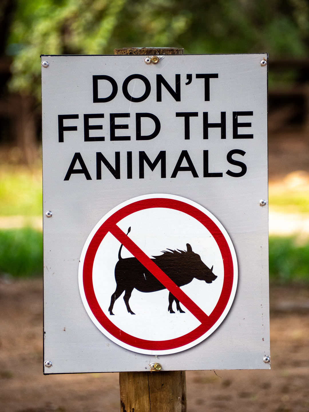 Krüger National Park