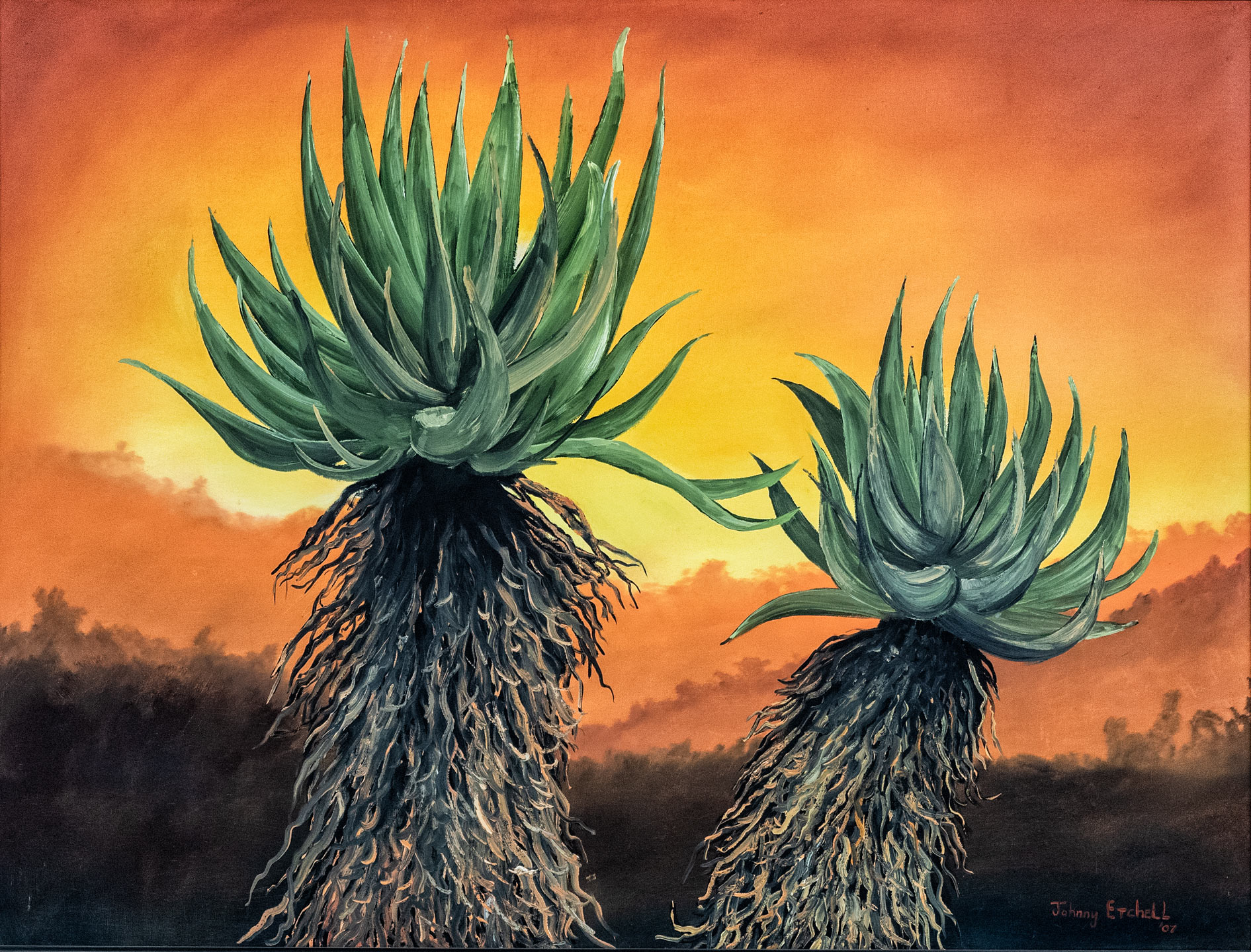 Aloe Vera Farm - Alcare Aloe - https://aloe.co.za