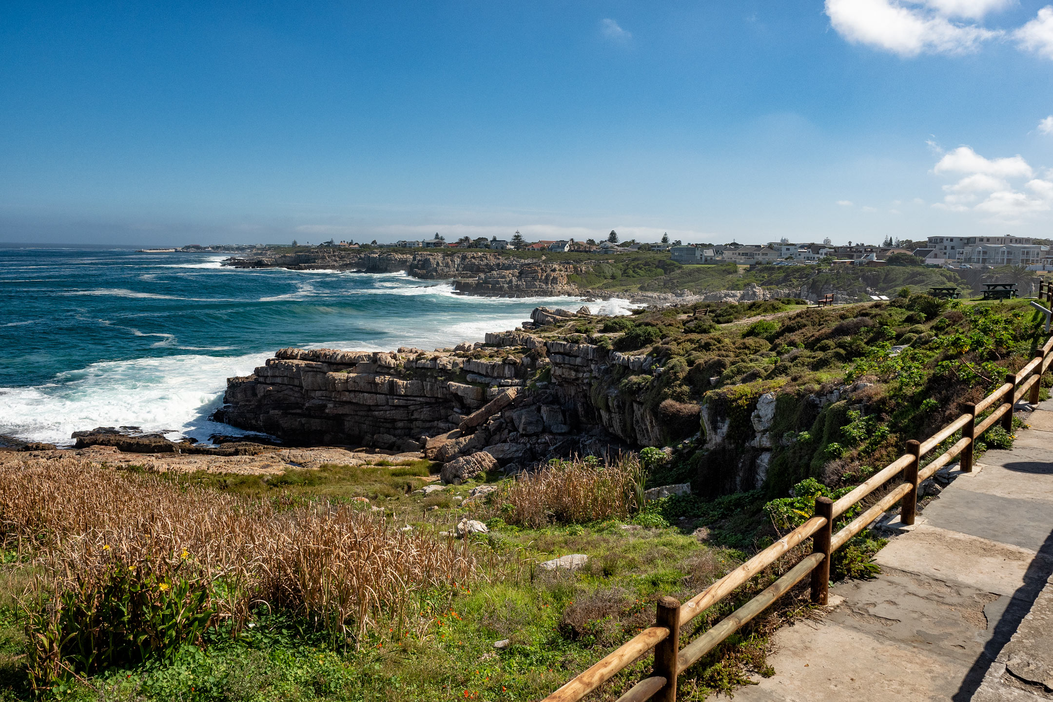 Stony Point Nature Reserve - Betty's Bay