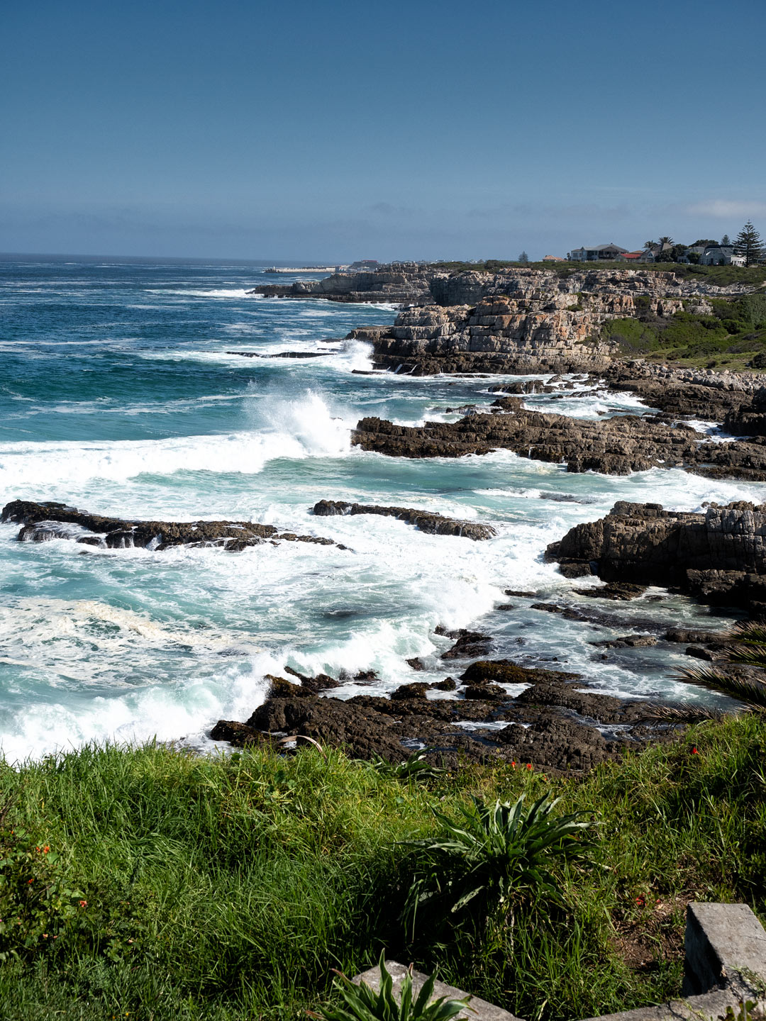 Stony Point Nature Reserve - Betty's Bay