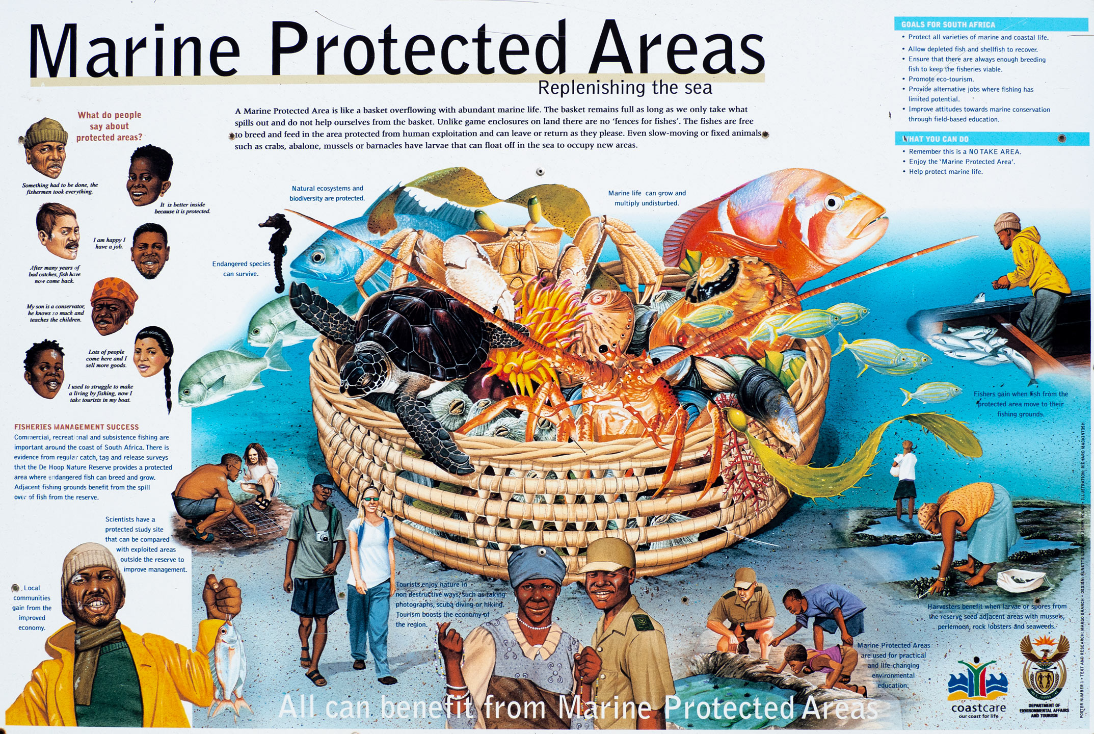 Stony Point Nature Reserve - Betty's Bay