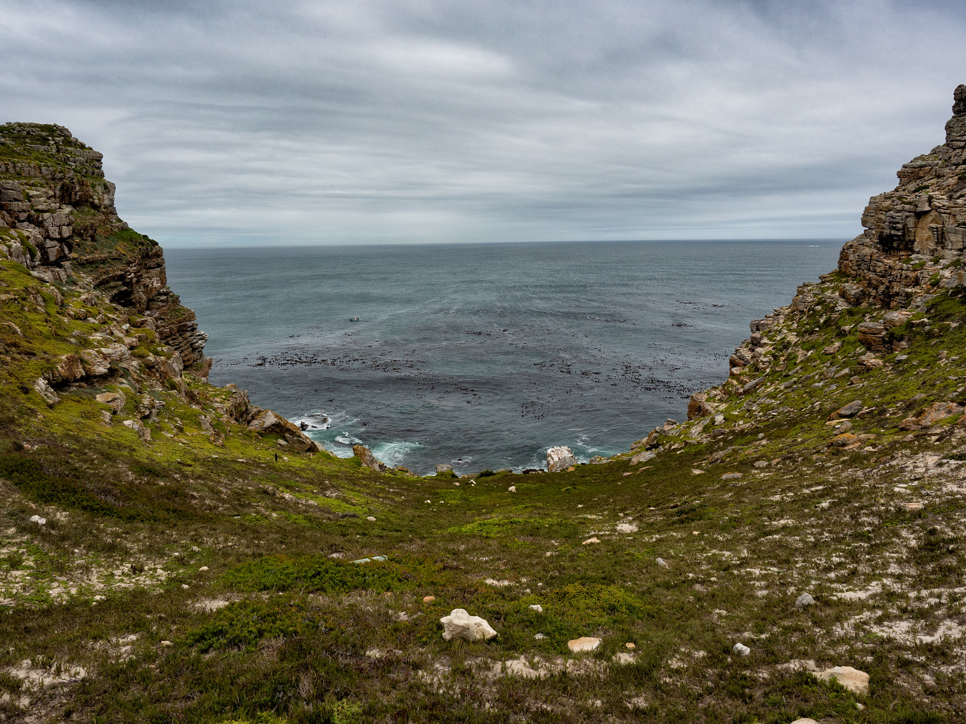 Cape of Good Hope Area