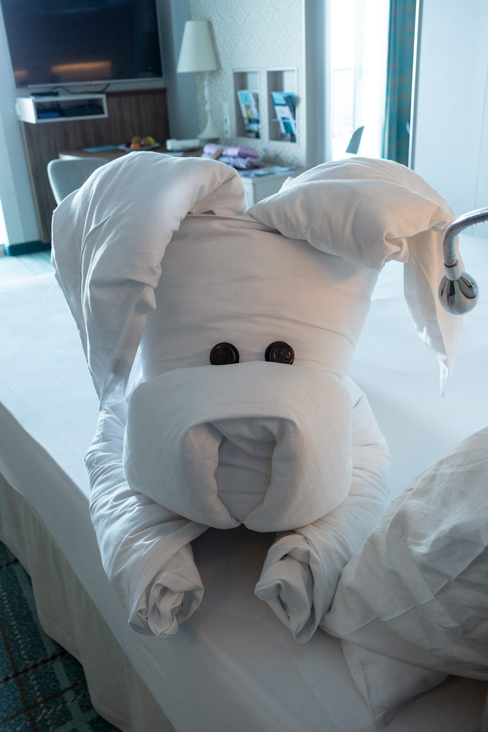 Tiere auf dem Zimmer 1