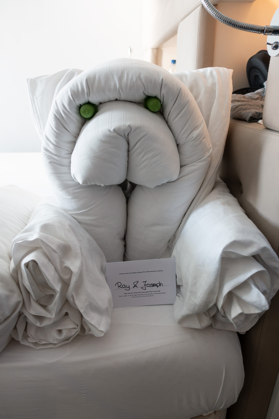 Tiere auf dem Zimmer 2