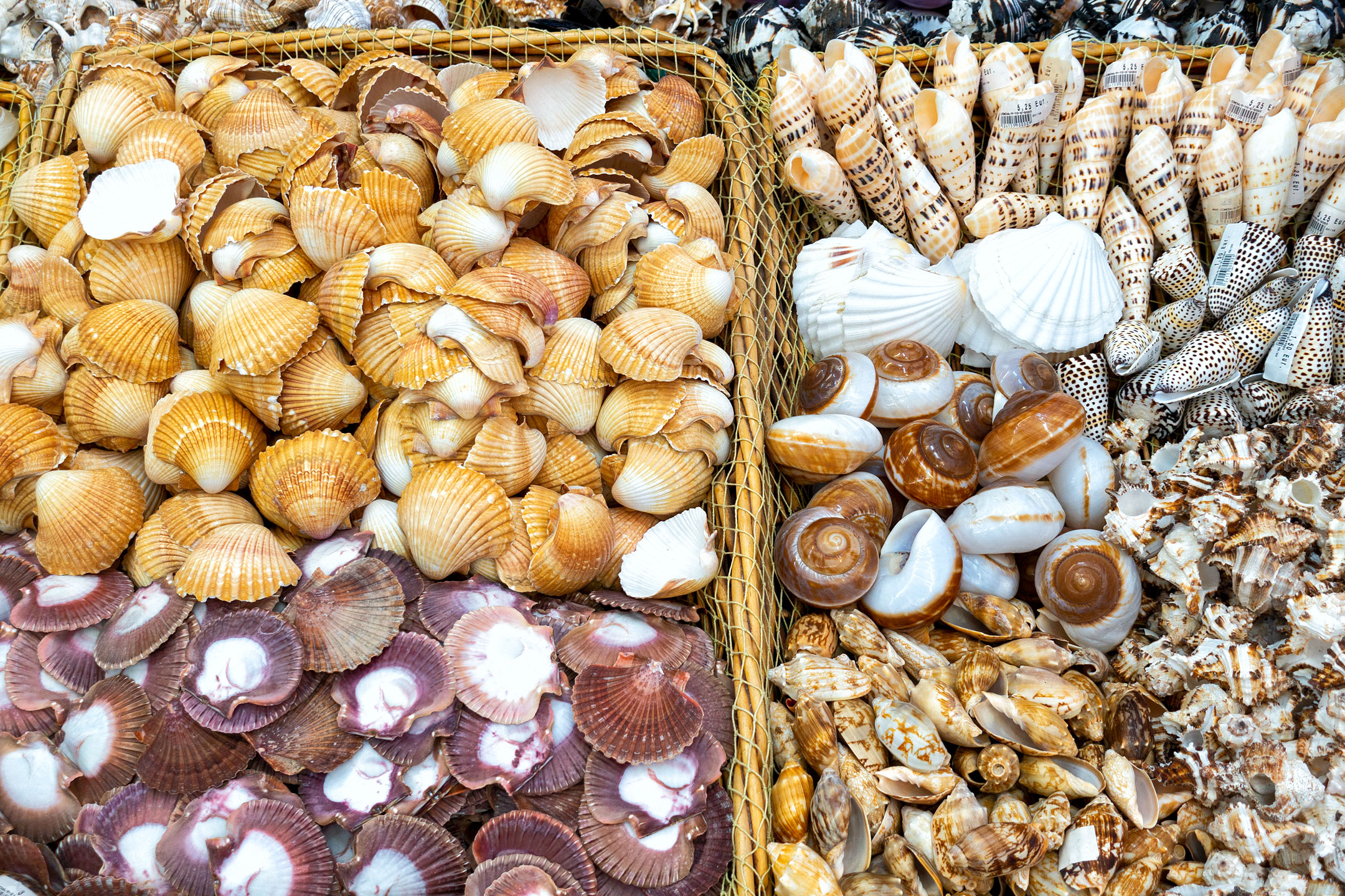 San Sebastián de La Gomera