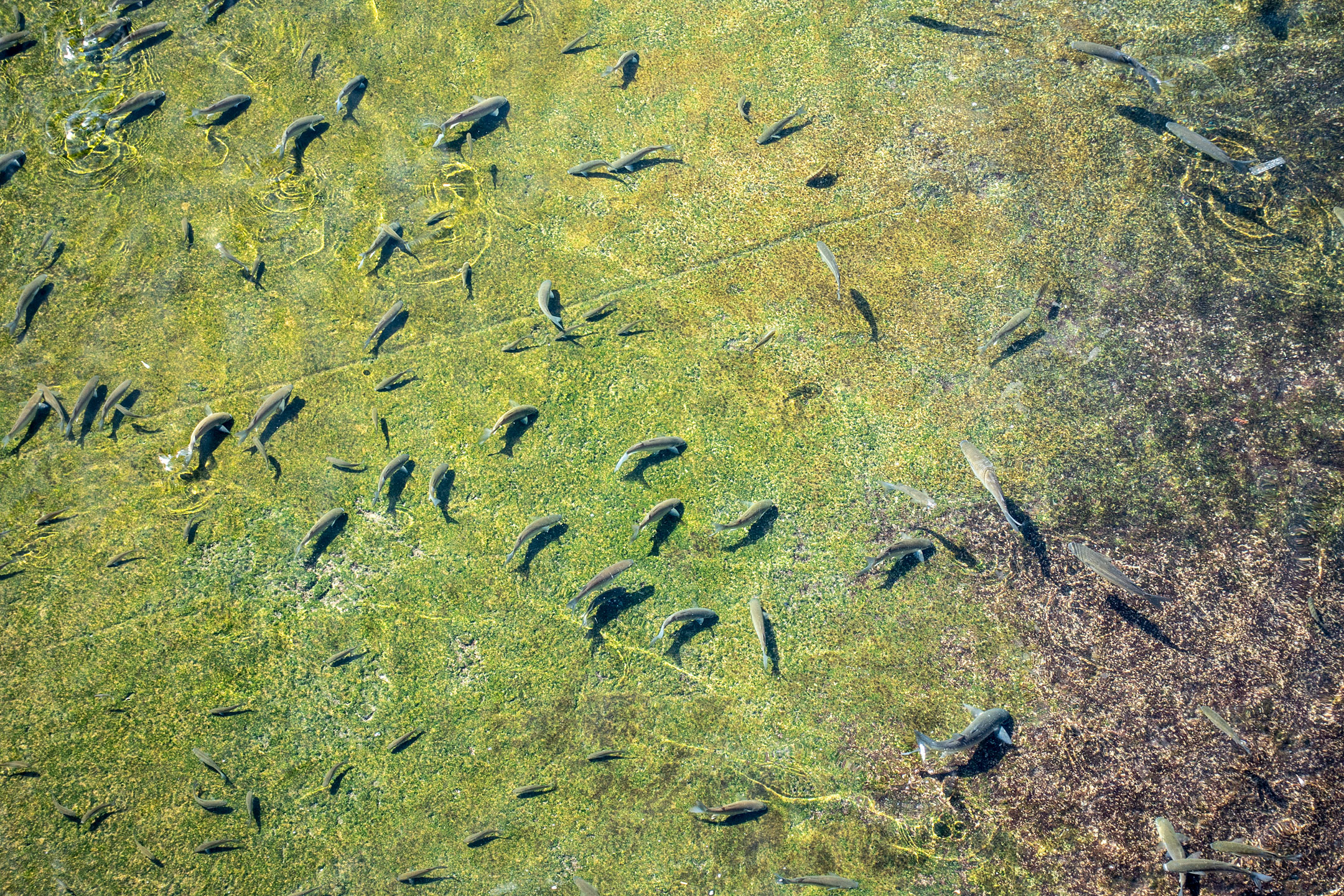 San Sebastián de La Gomera