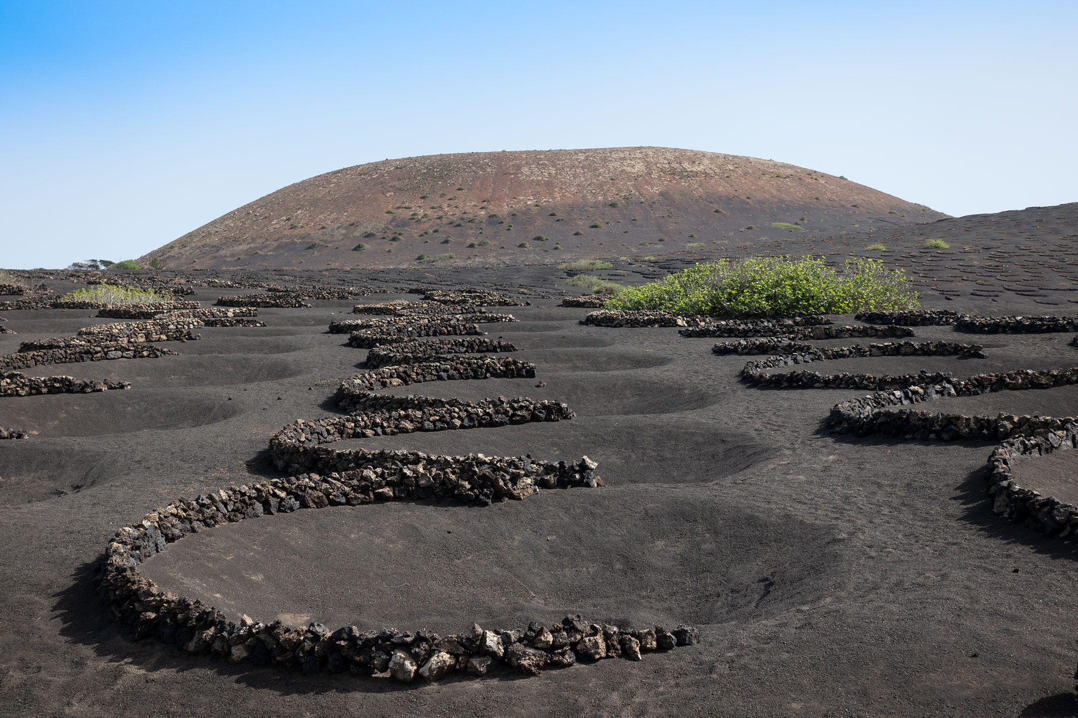 Lanzarote - Weingebiet La Geria