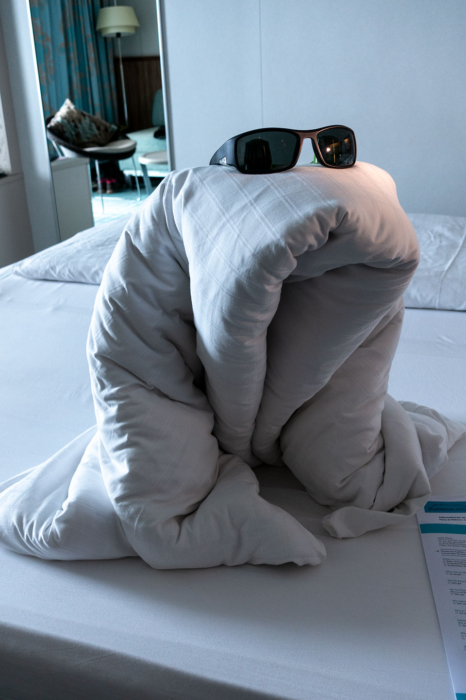 Tiere auf dem Zimmer 5