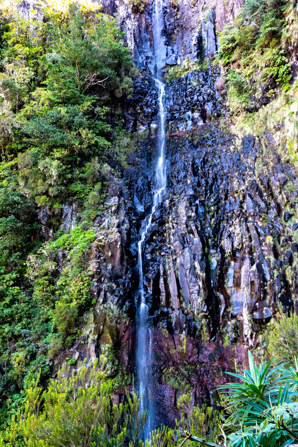 Wanderung "Levada de las 25 fuentes"