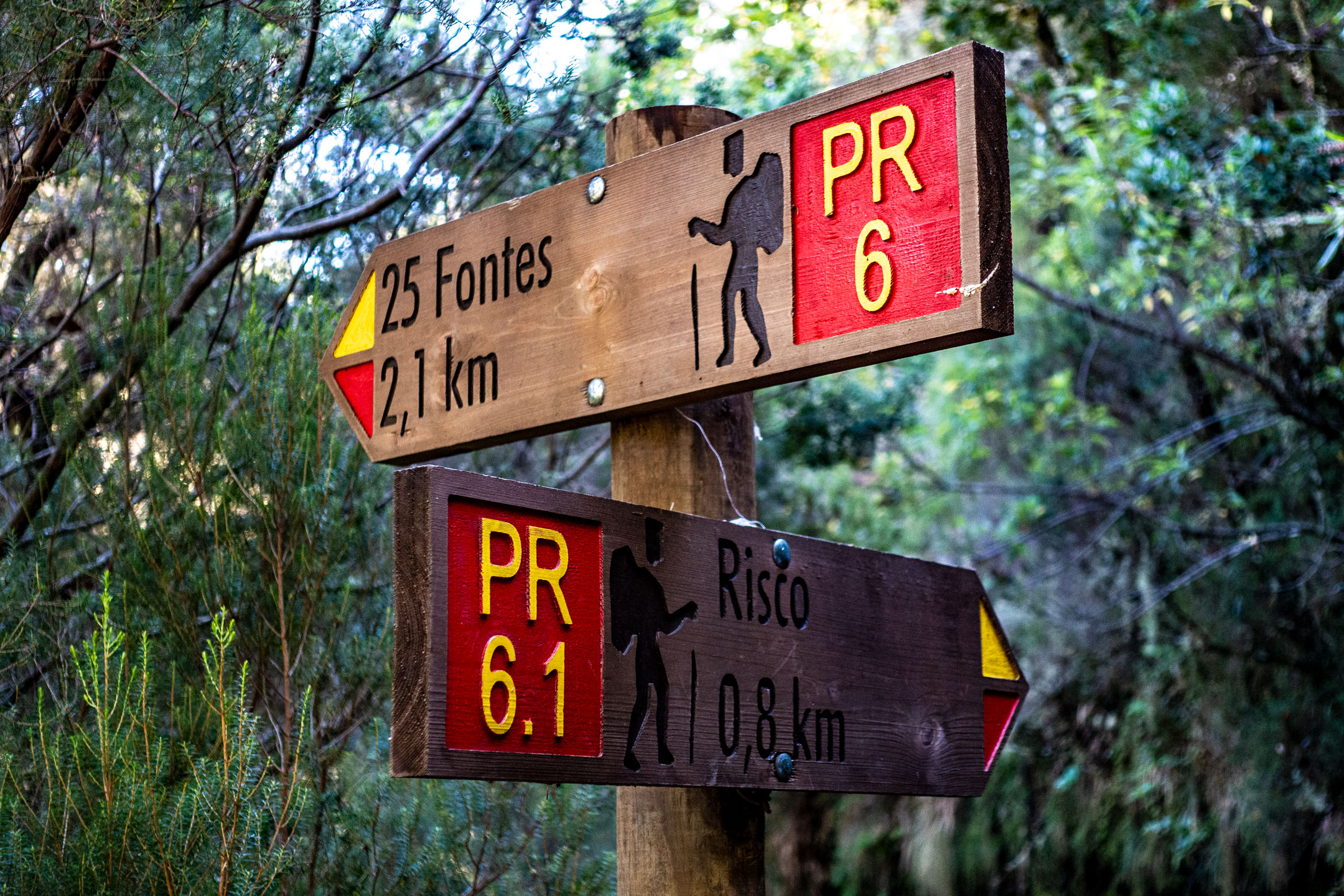 Wanderung "Levada de las 25 fuentes"