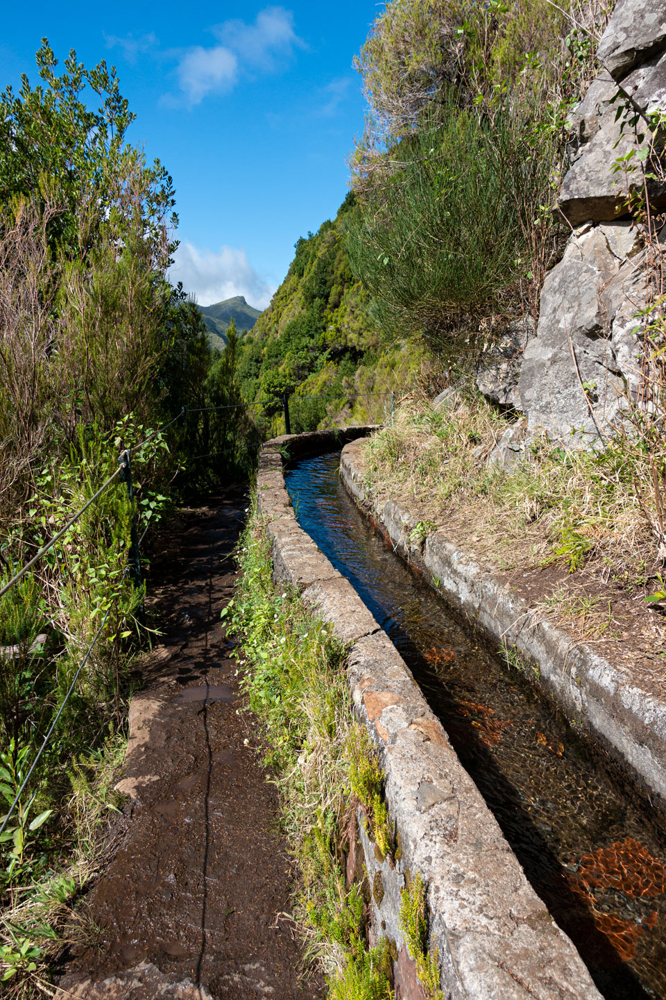 Wanderung "Levada de las 25 fuentes"