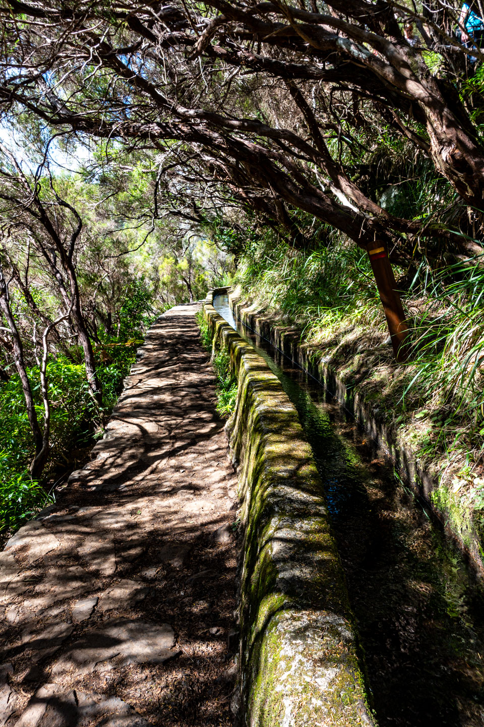 Wanderung "Levada de las 25 fuentes"
