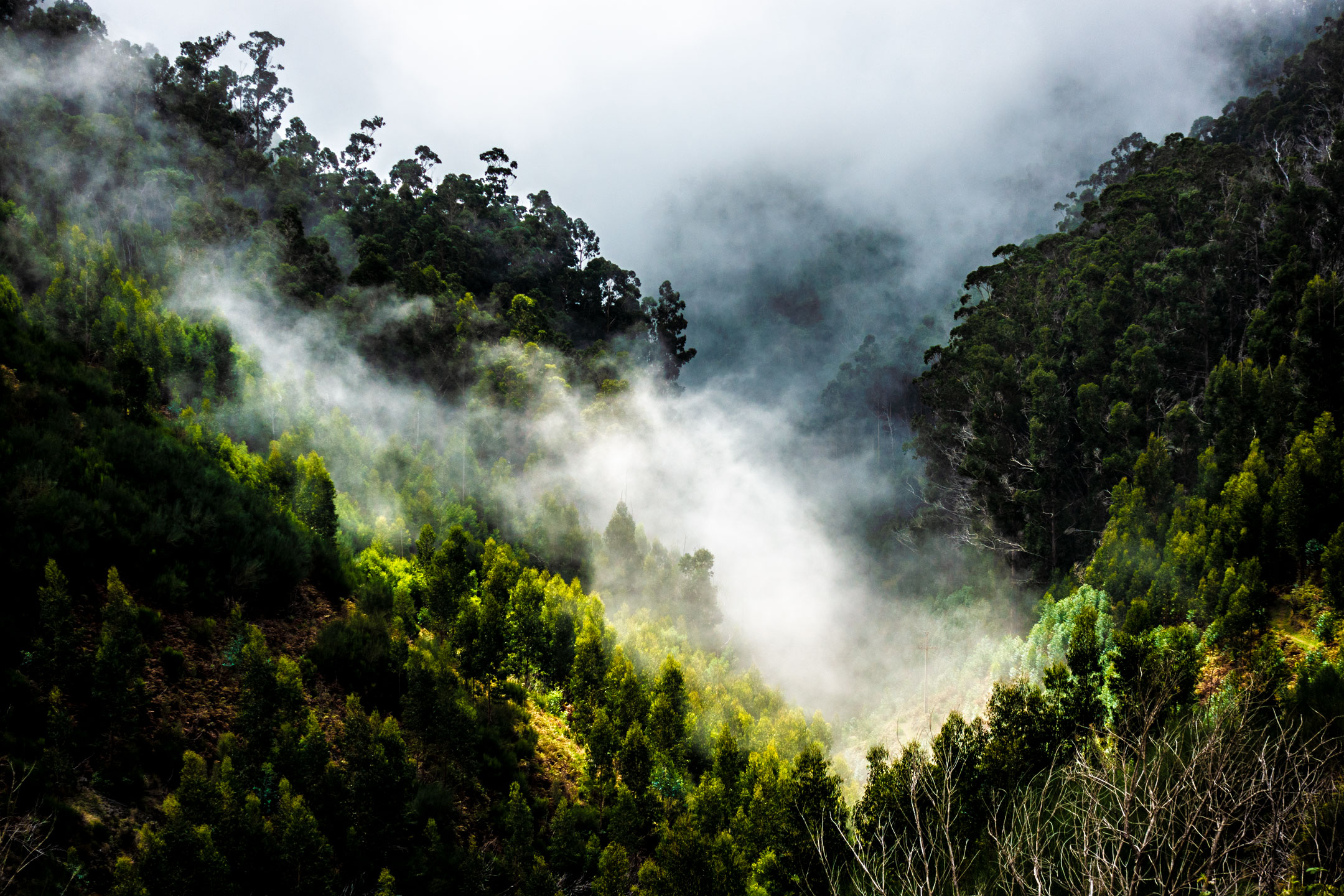 Wanderung "Levada de las 25 fuentes"
