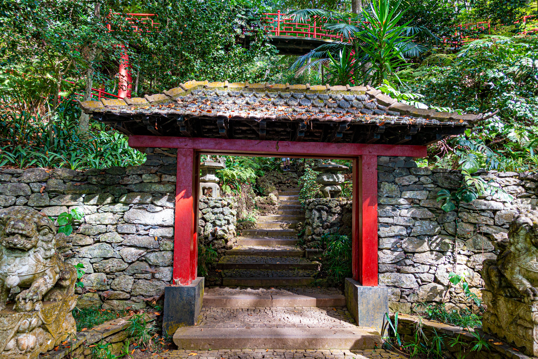 Jardim Tropical Monte Palace