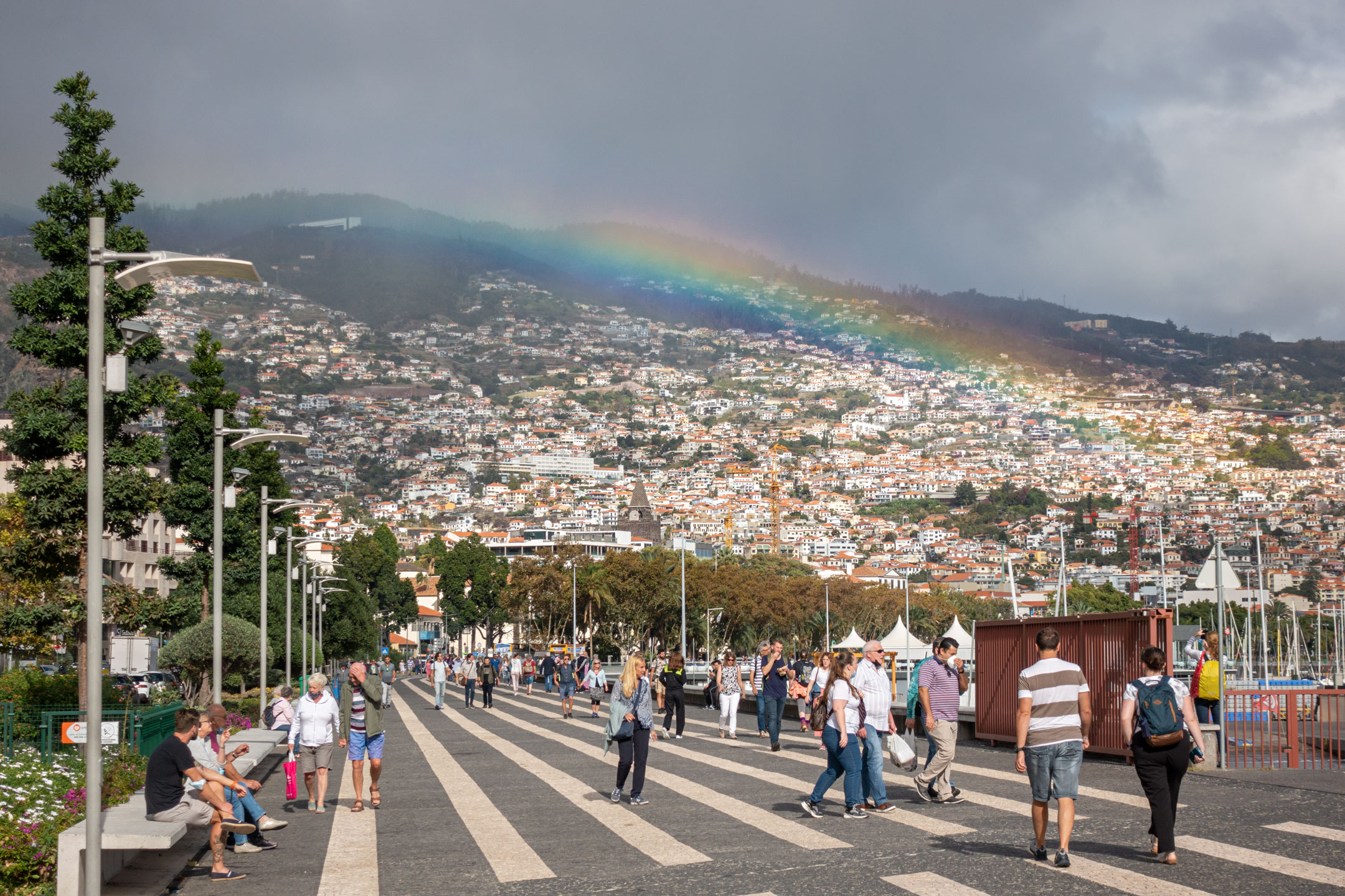 Funchal City