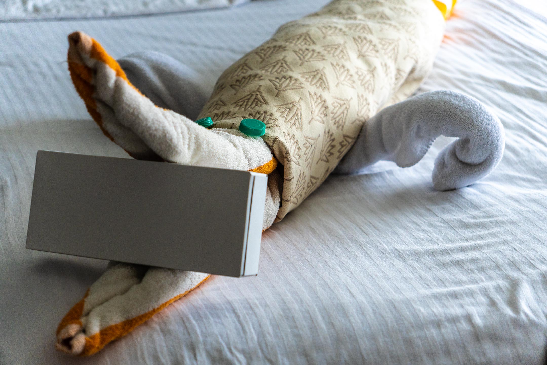 Tiere im Boot ieeek - MS Nile Excellence