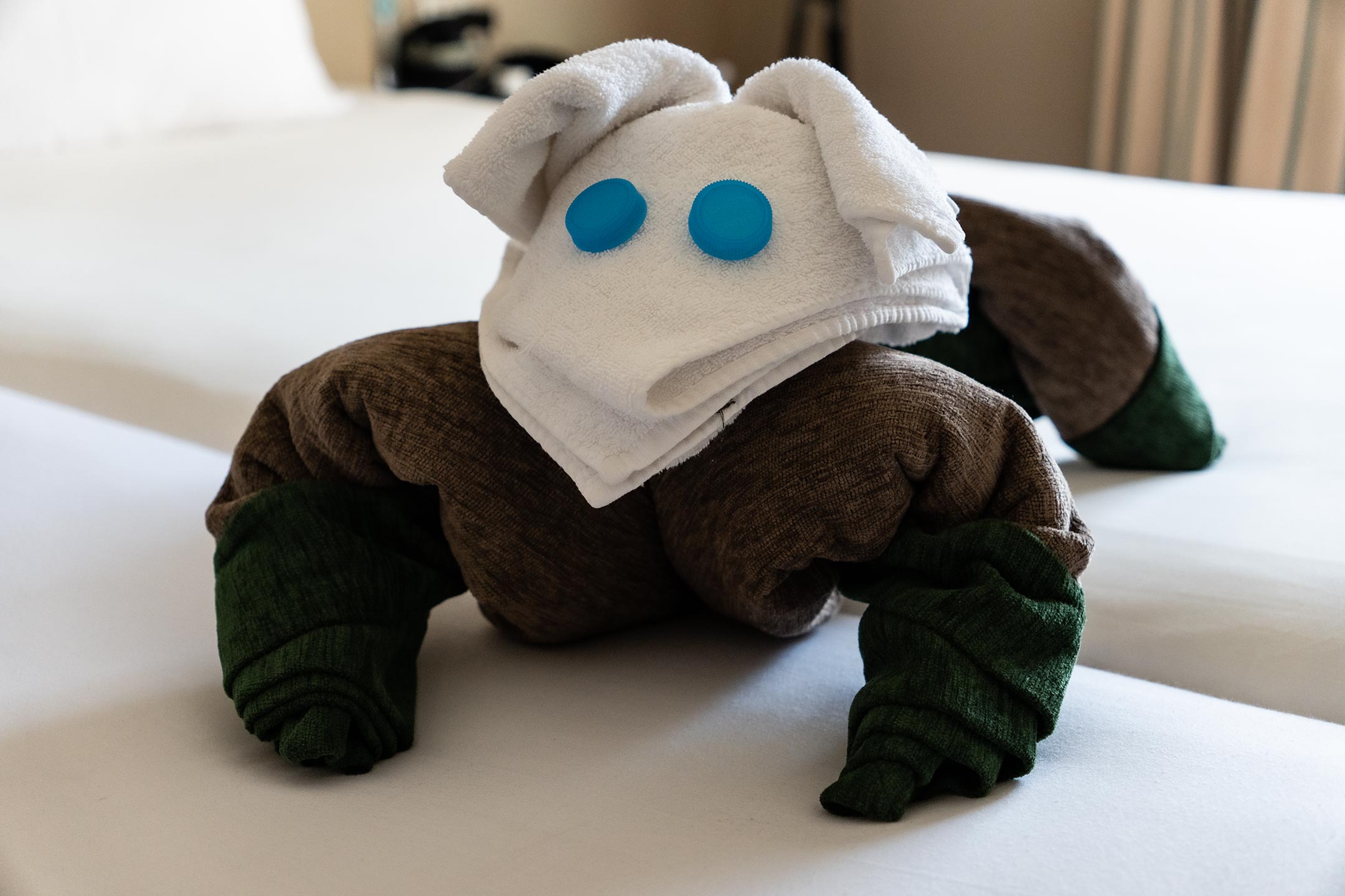 Tiere auch hier auf dem Zimmer ... Jaz Makadina - Hurghada