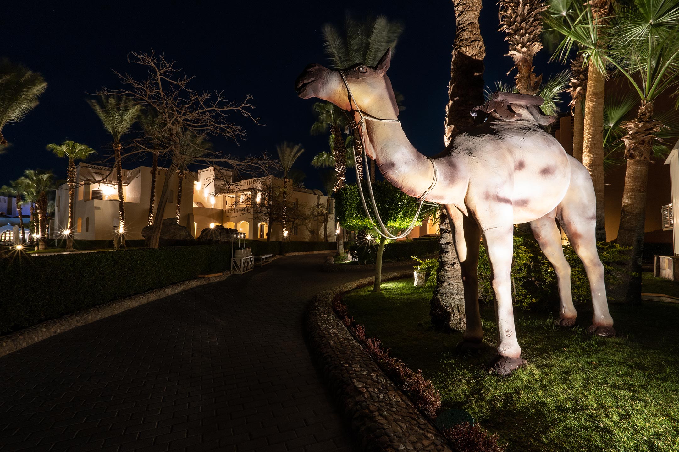 Jaz Makadina - Hurghada