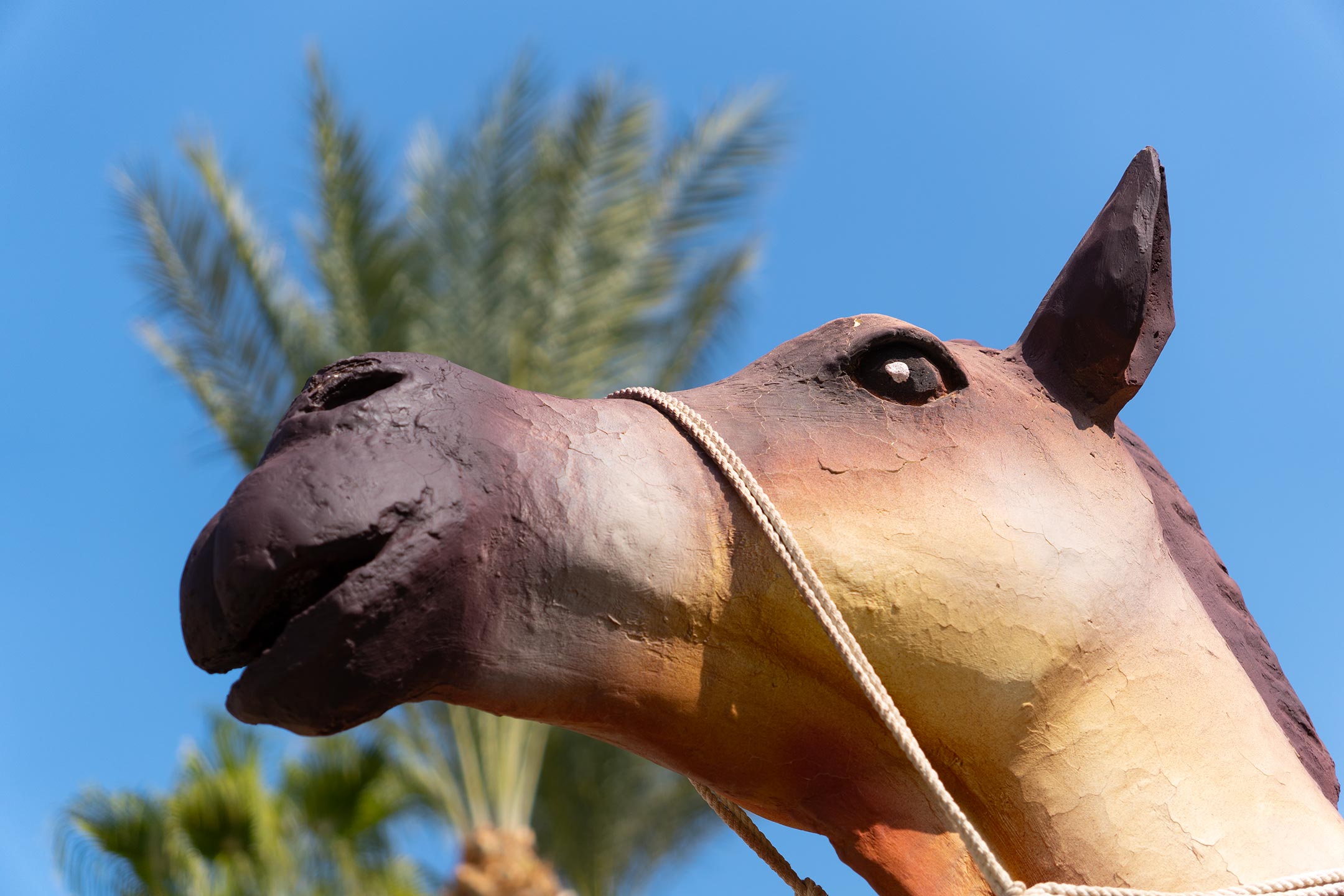 Jaz Makadina - Hurghada