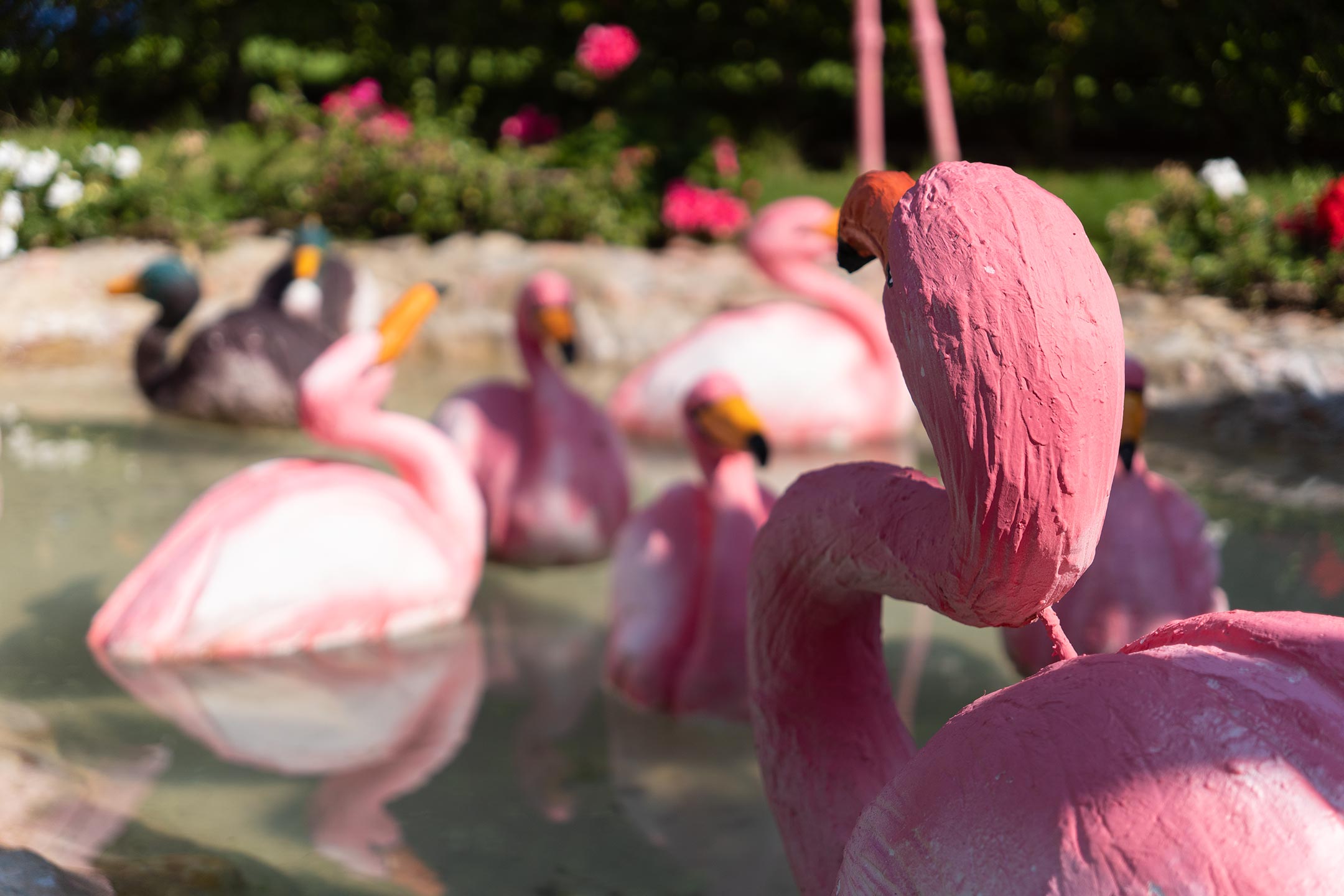 Jaz Makadina - Hurghada