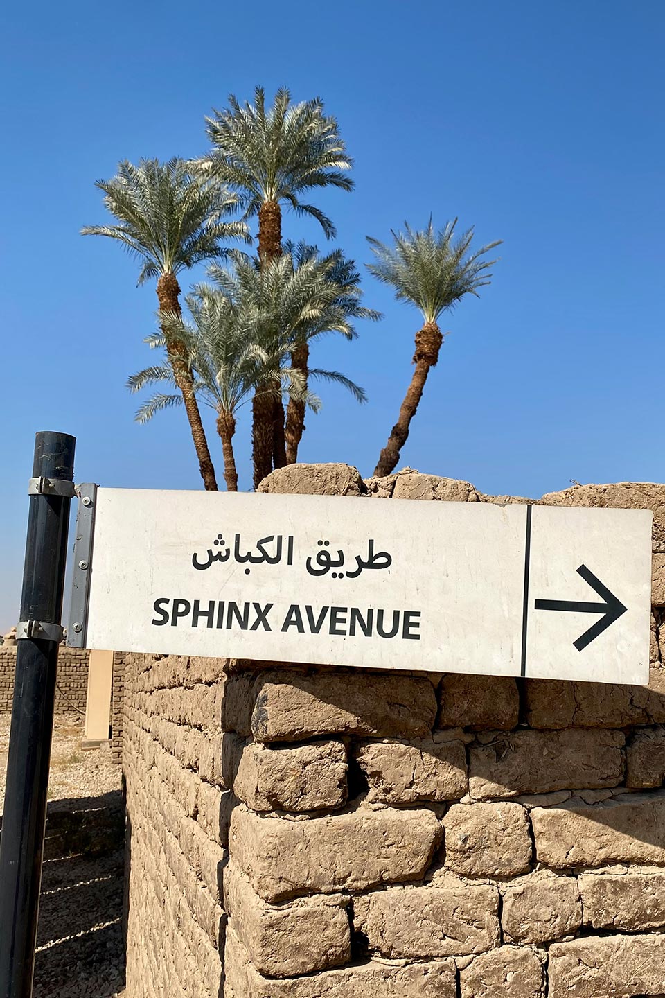 Luxor Tempel (Amun, Mut und Chons)