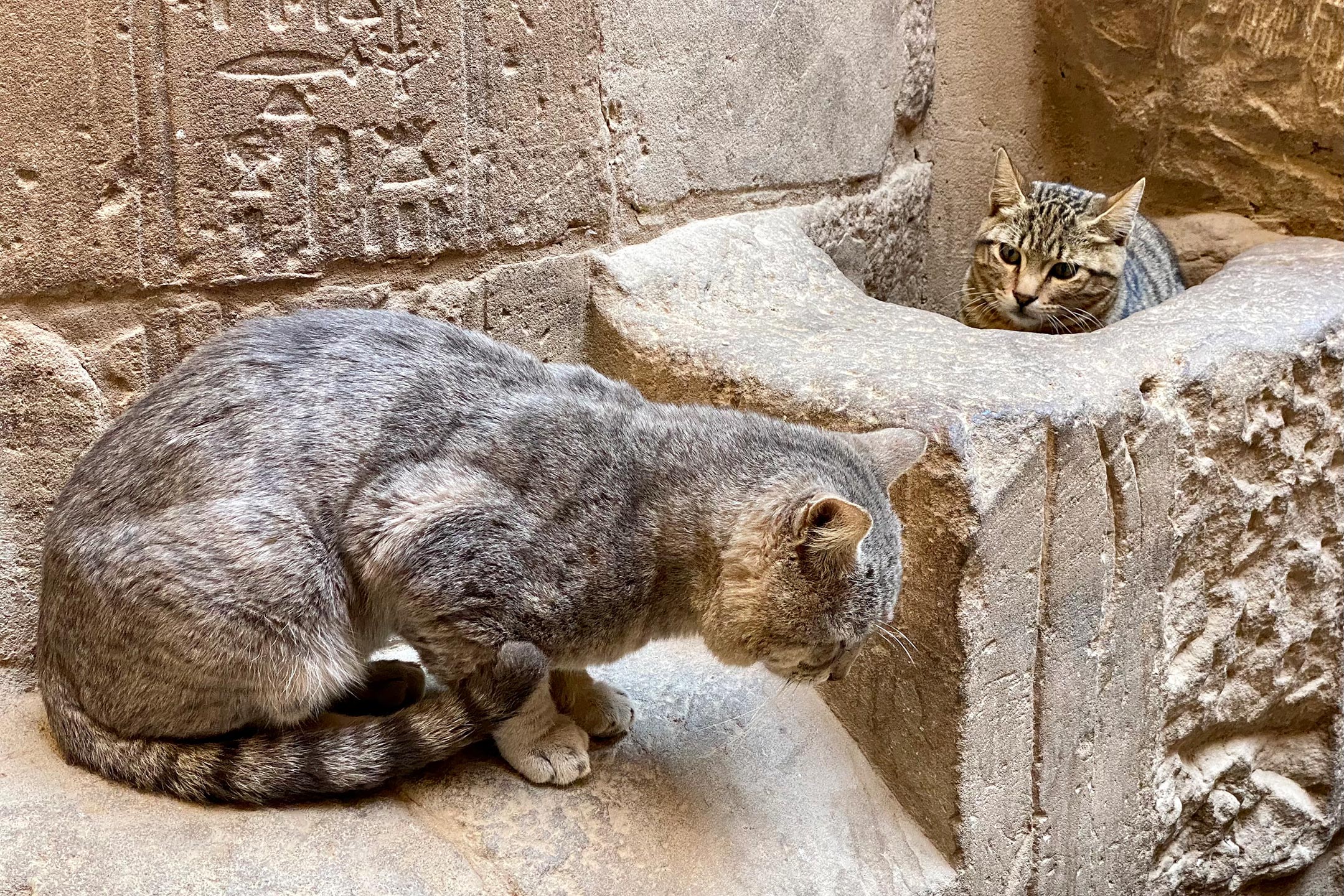 Philae Tempel (Isis)