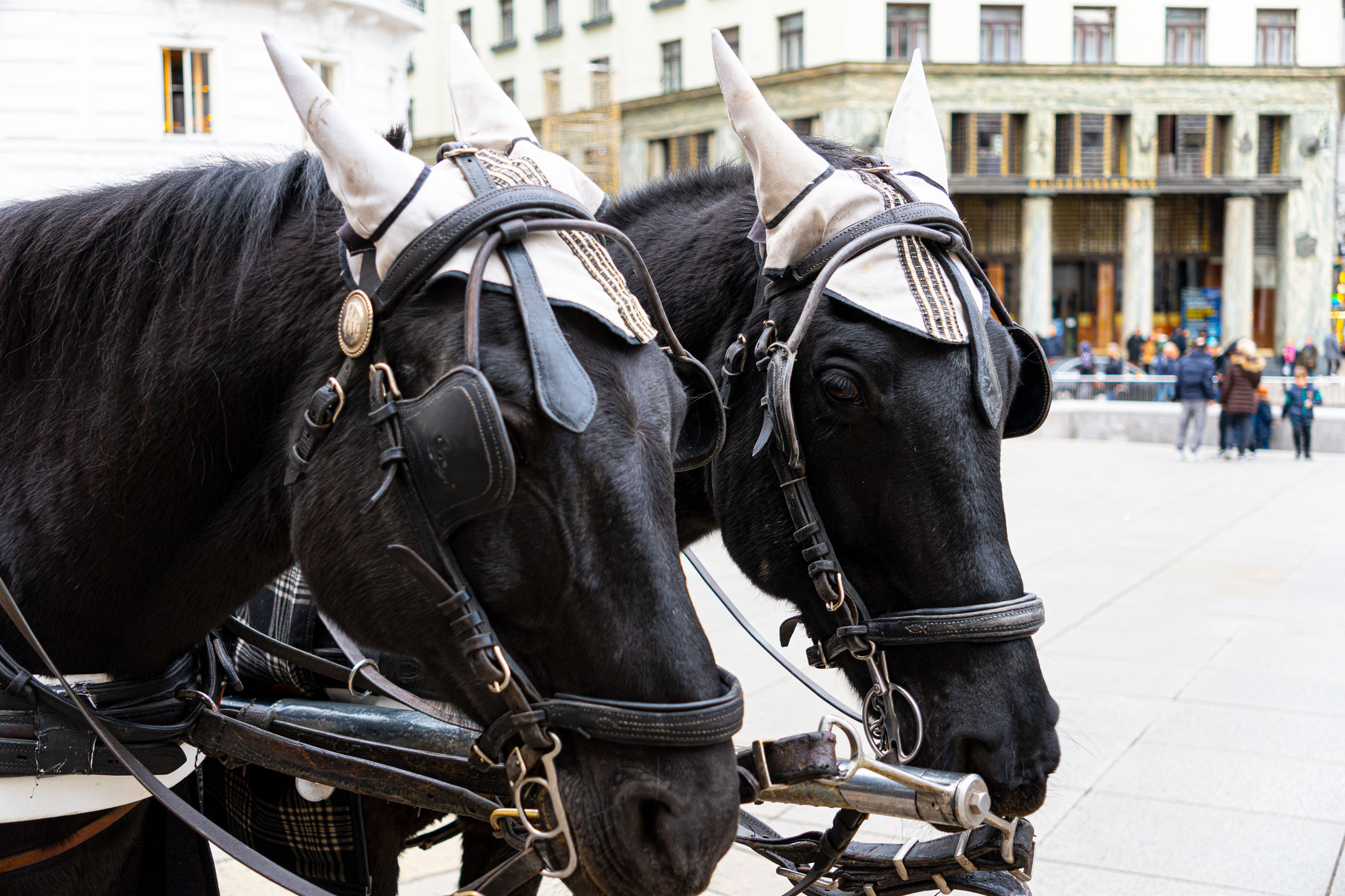 Spanische Hofreitschule - Wien