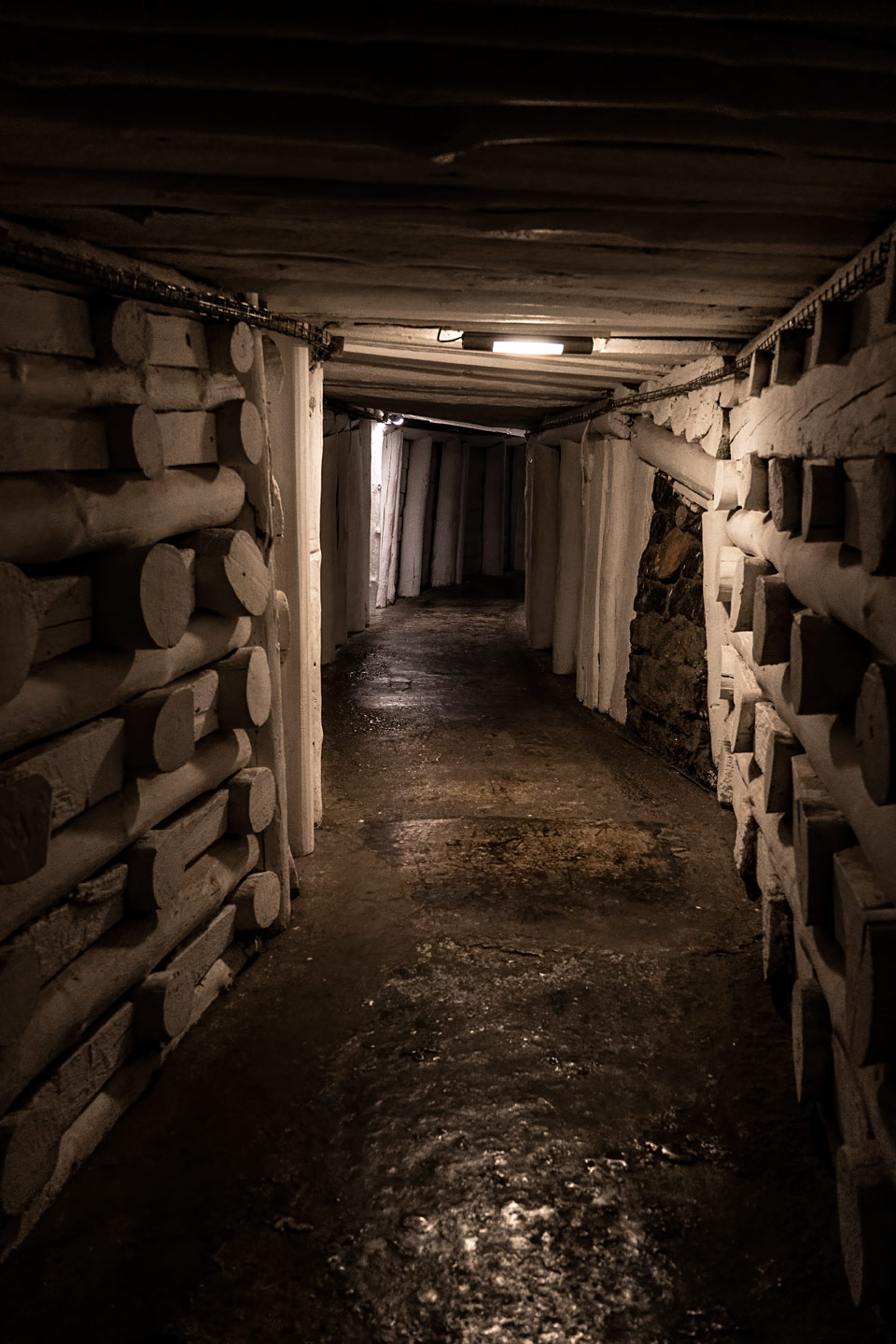 Salzmine - Wieliczka - bei Krakau