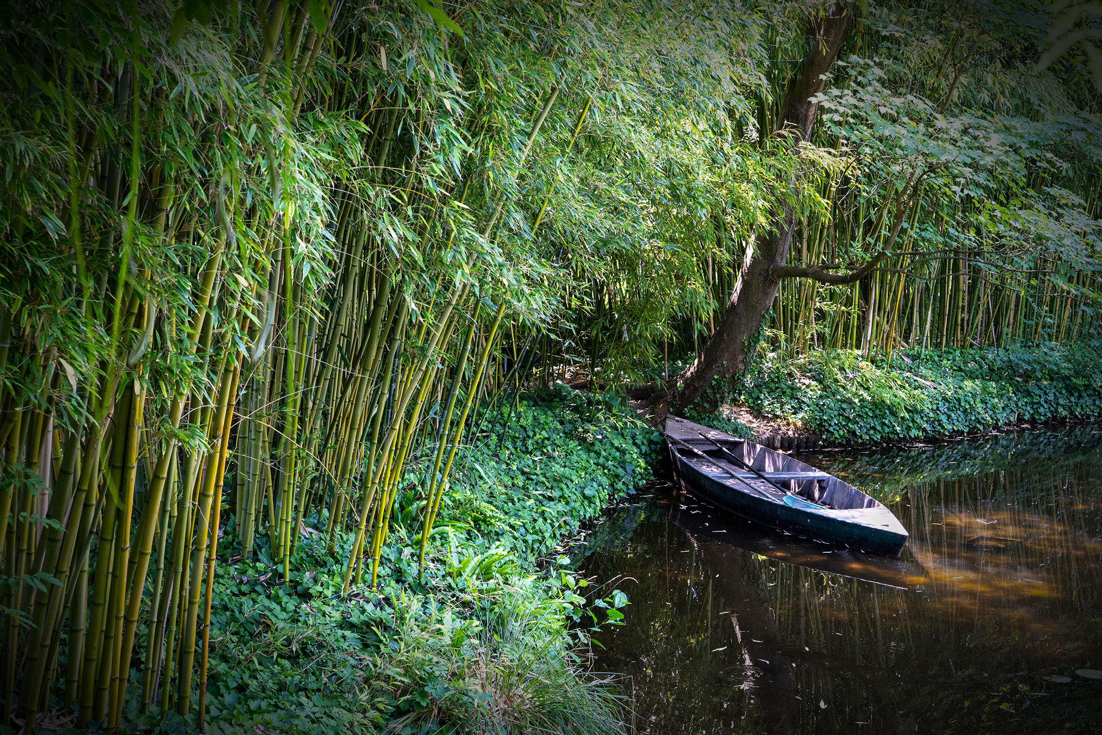Haus von Claude Monet - Wassergarten