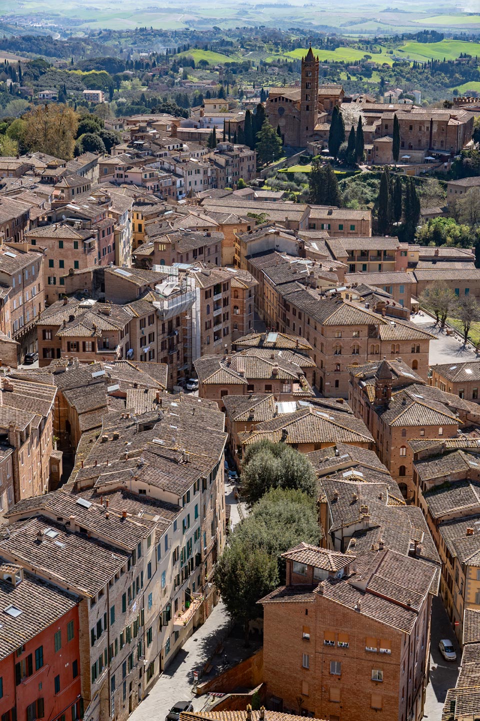 Siena - Torre del Mangia