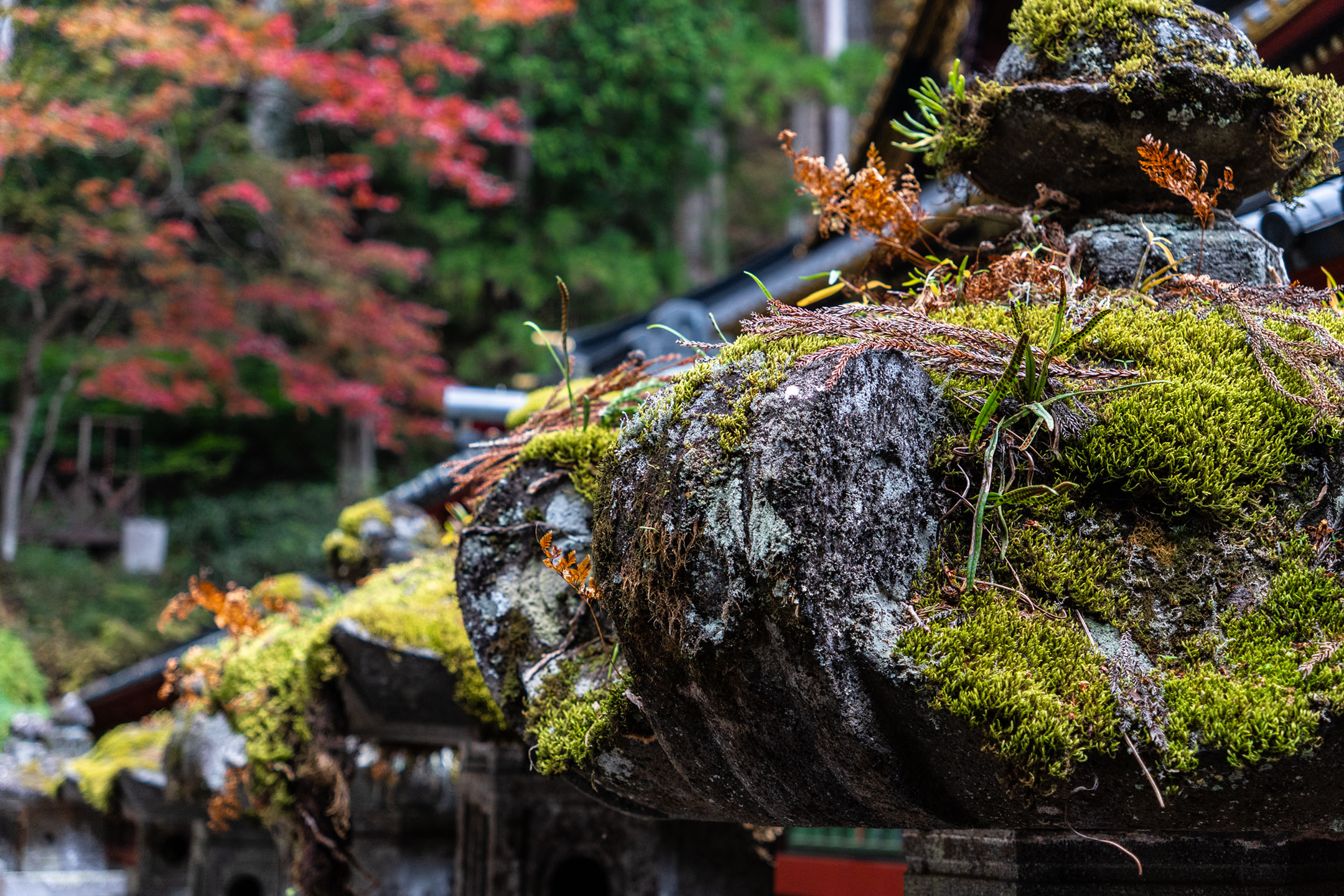 Nikko Futarasan-Schrein