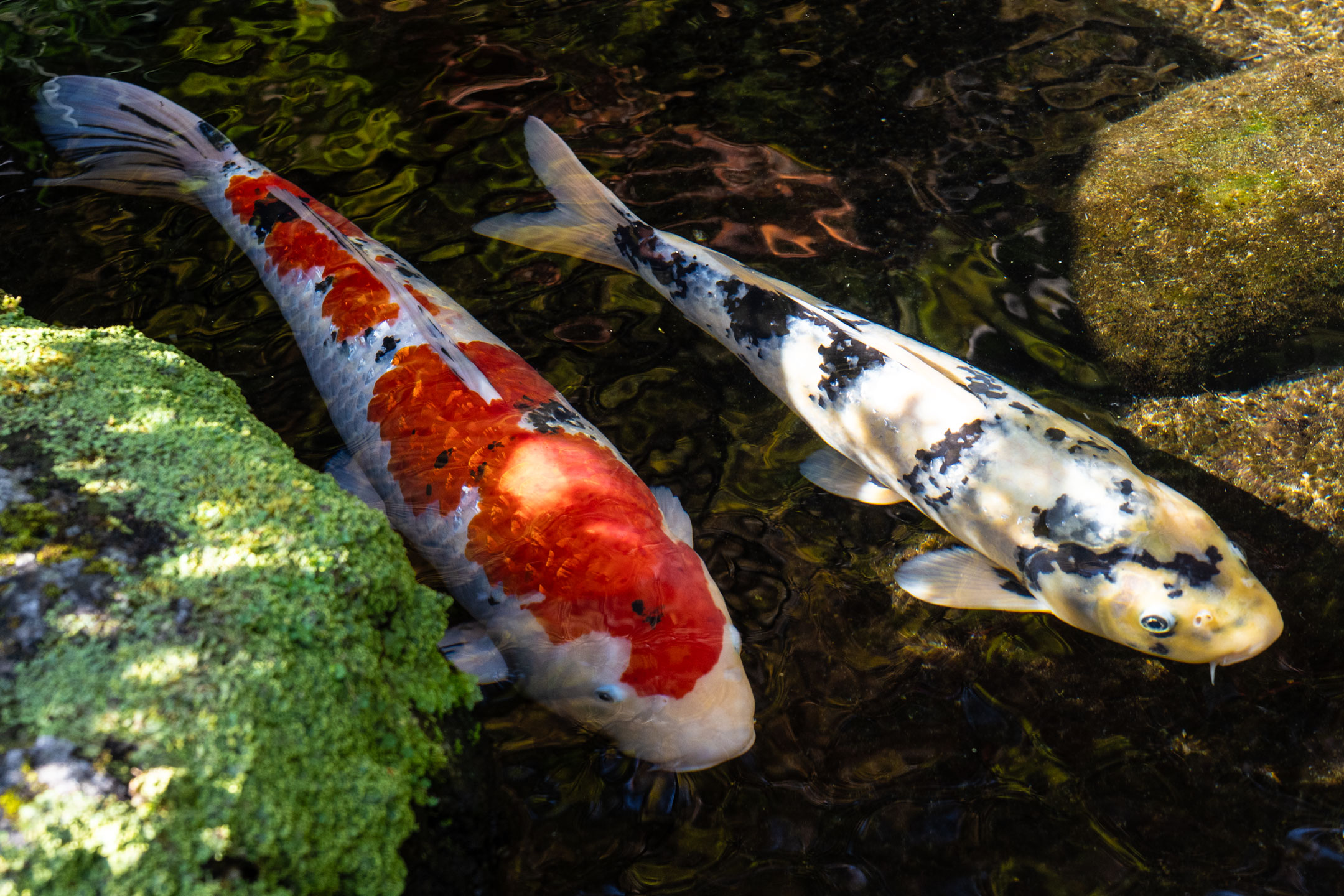 Kamakura Hase-Kannon-Tempel