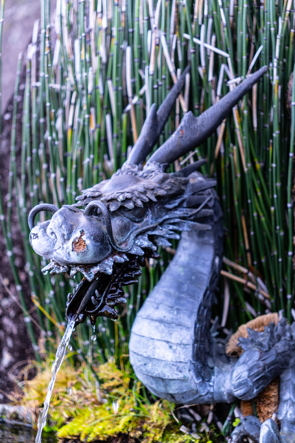 Nachisan Tempel Seihantoji