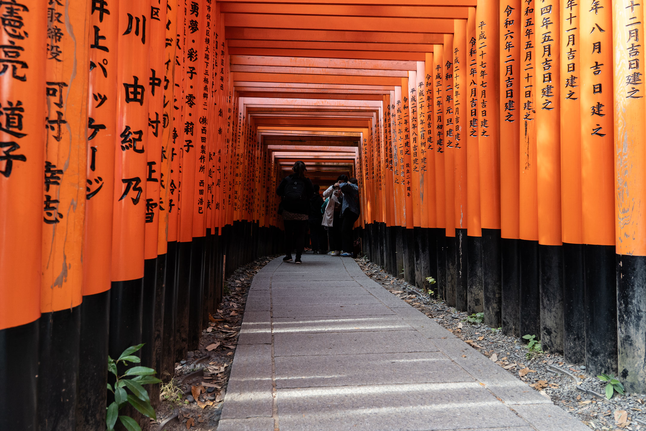 Kyoto Fushimi Inari-Taisha - Tempel der 10.000 Tore